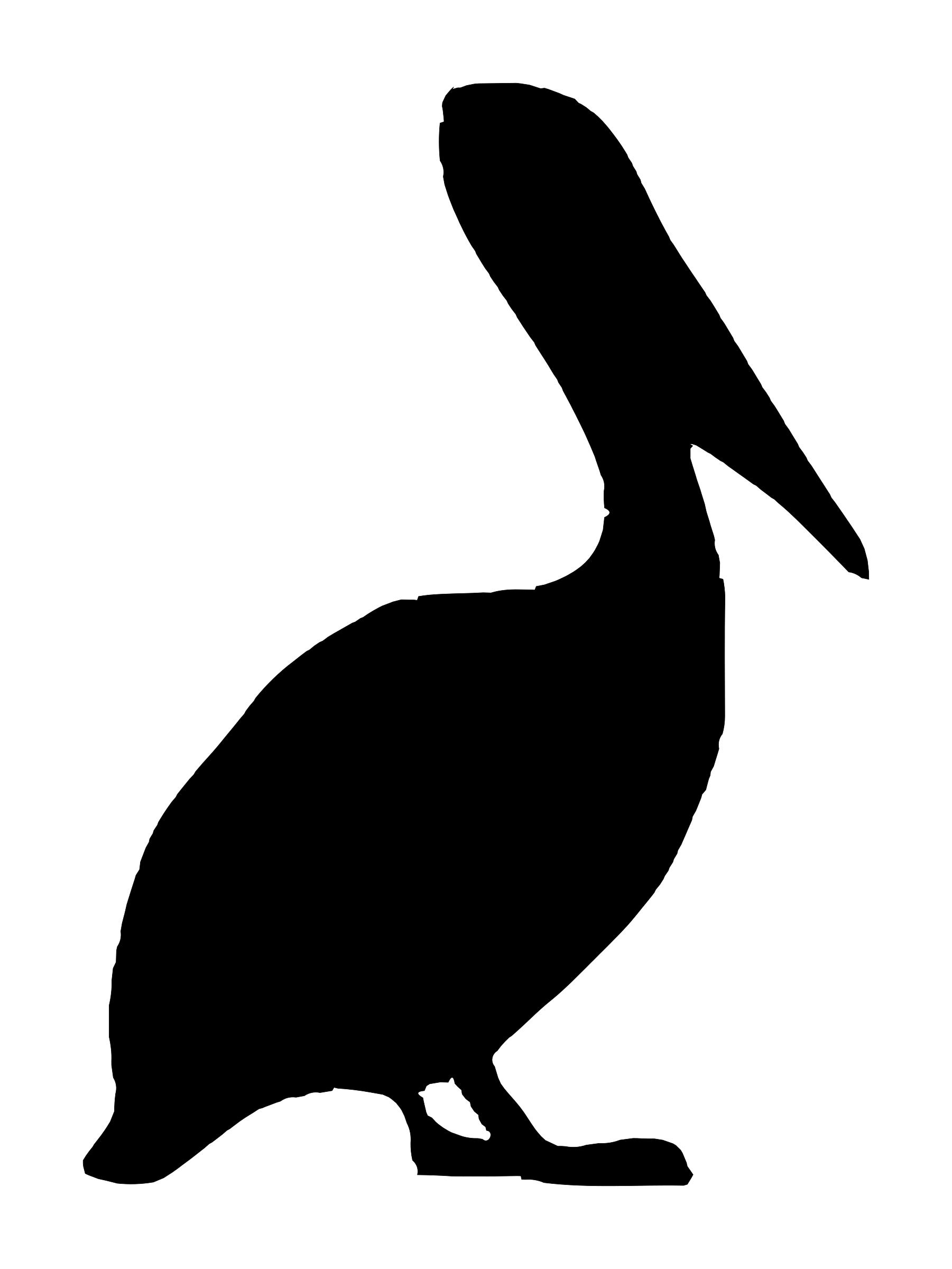 Silhouette - pelican Icons PNG - Free PNG and Icons Downloads