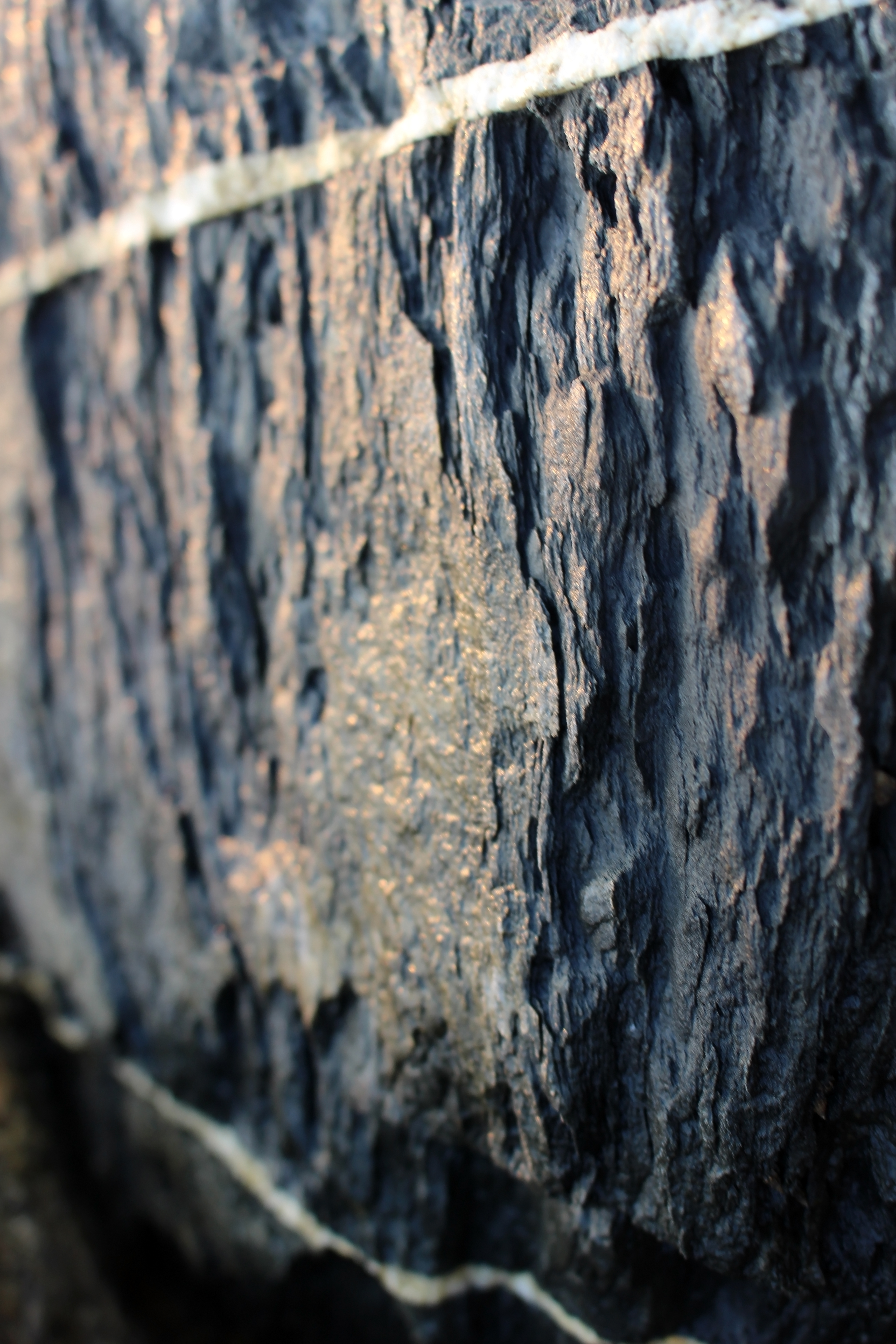 Black rock texture with white veins photo