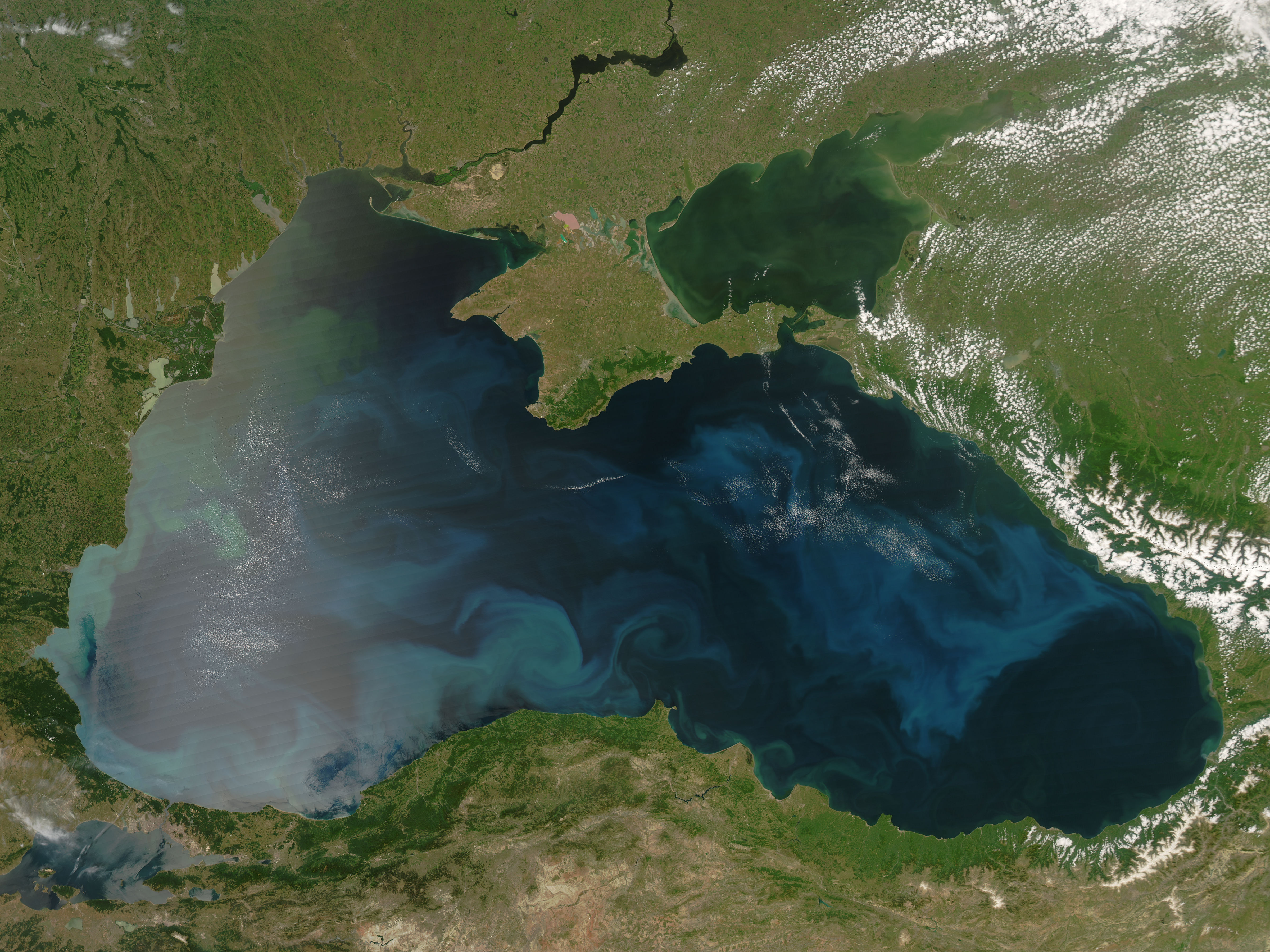 Black Sea Phytoplankton Bloom : Image of the Day