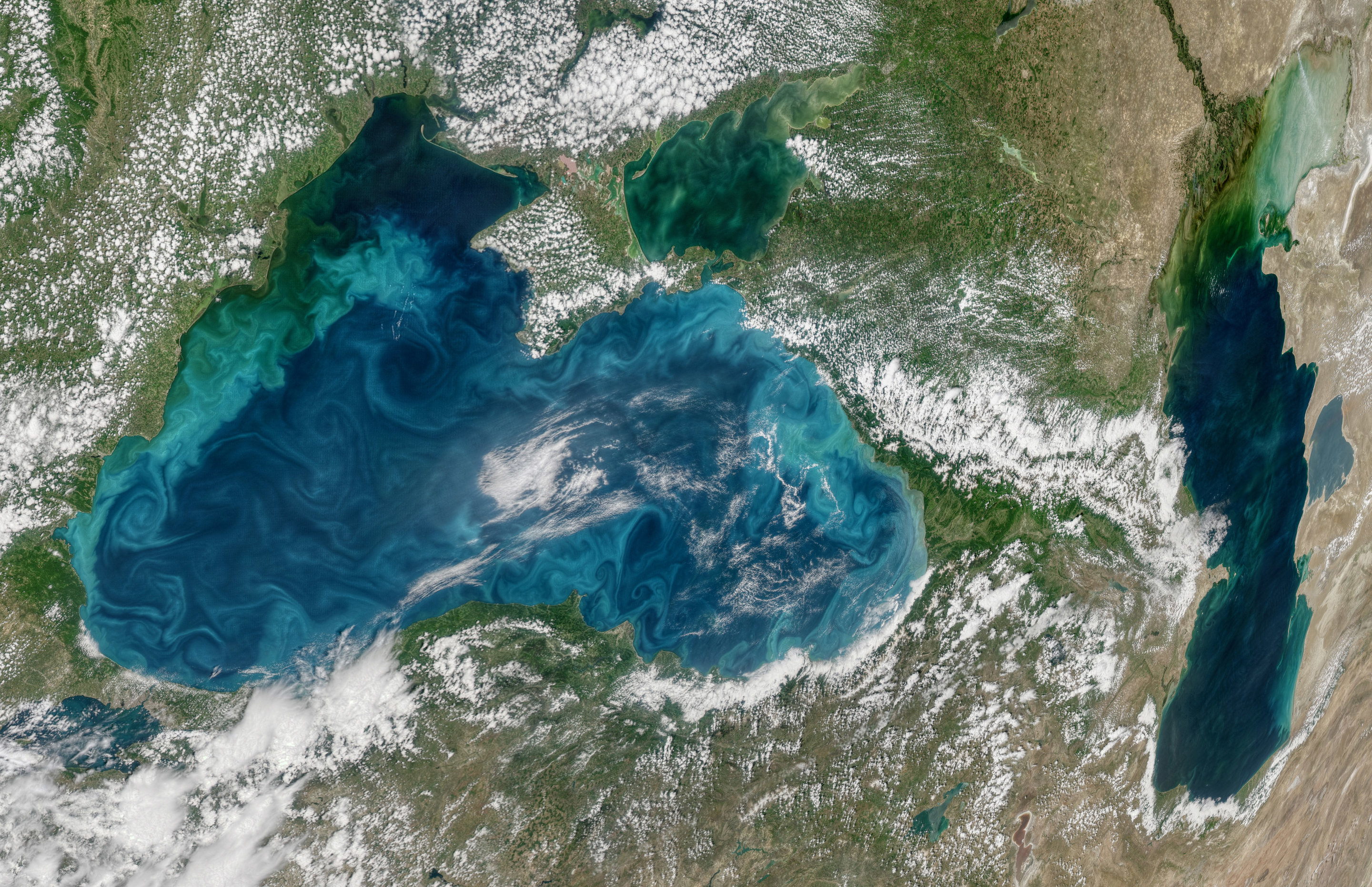 New study in oxygen-deprived black sea provides insights on future ...