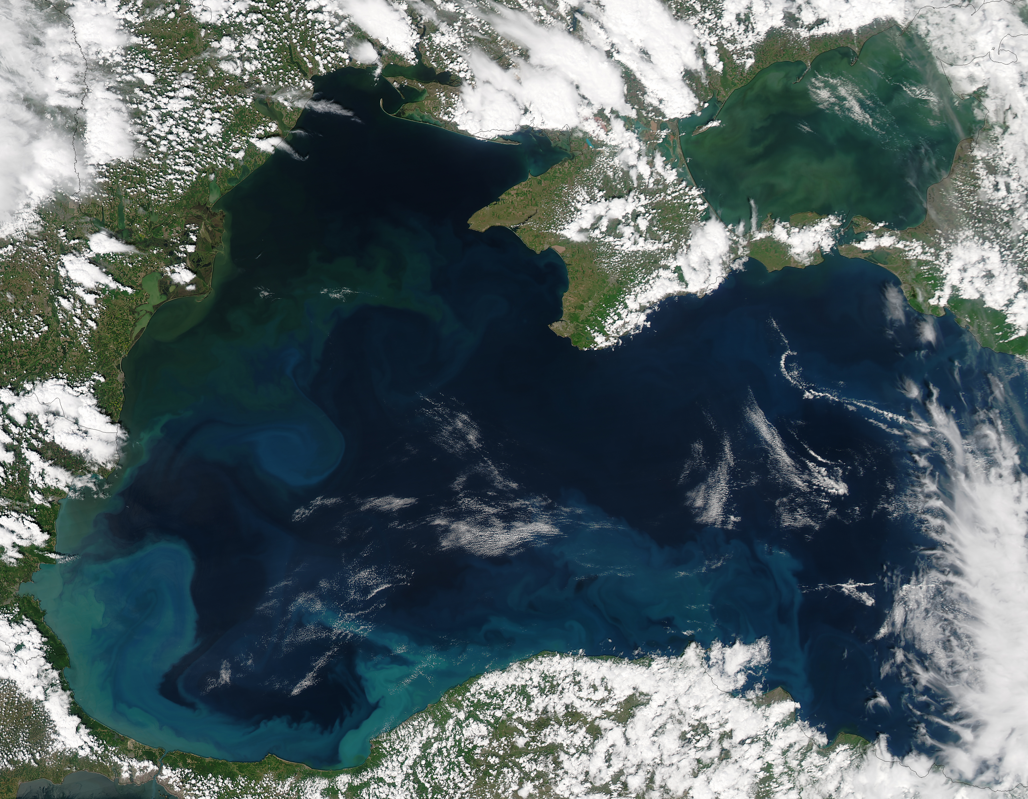 Bloom in the Black Sea : Image of the Day