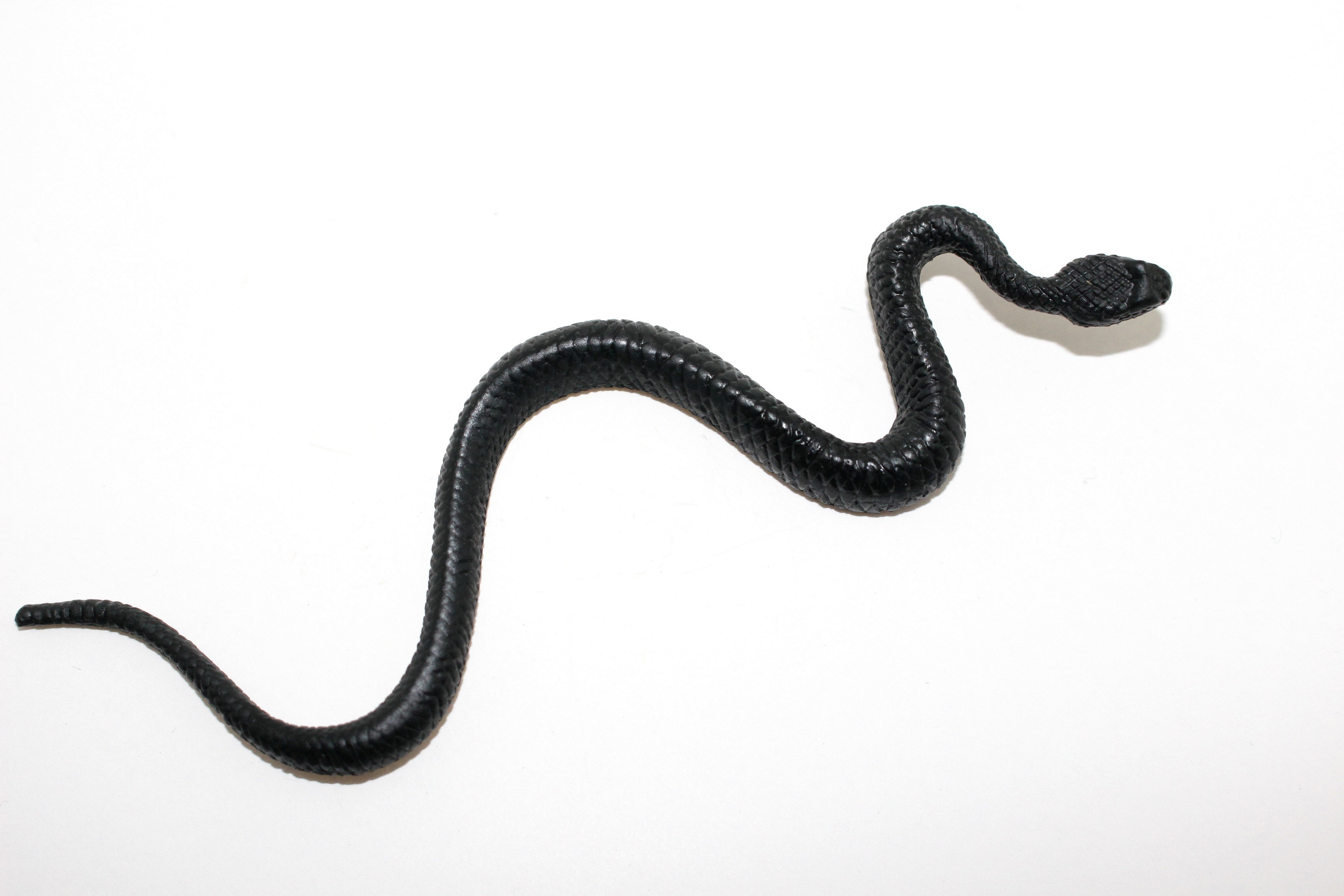 Black Snake ~ Plastic Replica ~ F7043-B165 - Collectible Wildlife Gifts