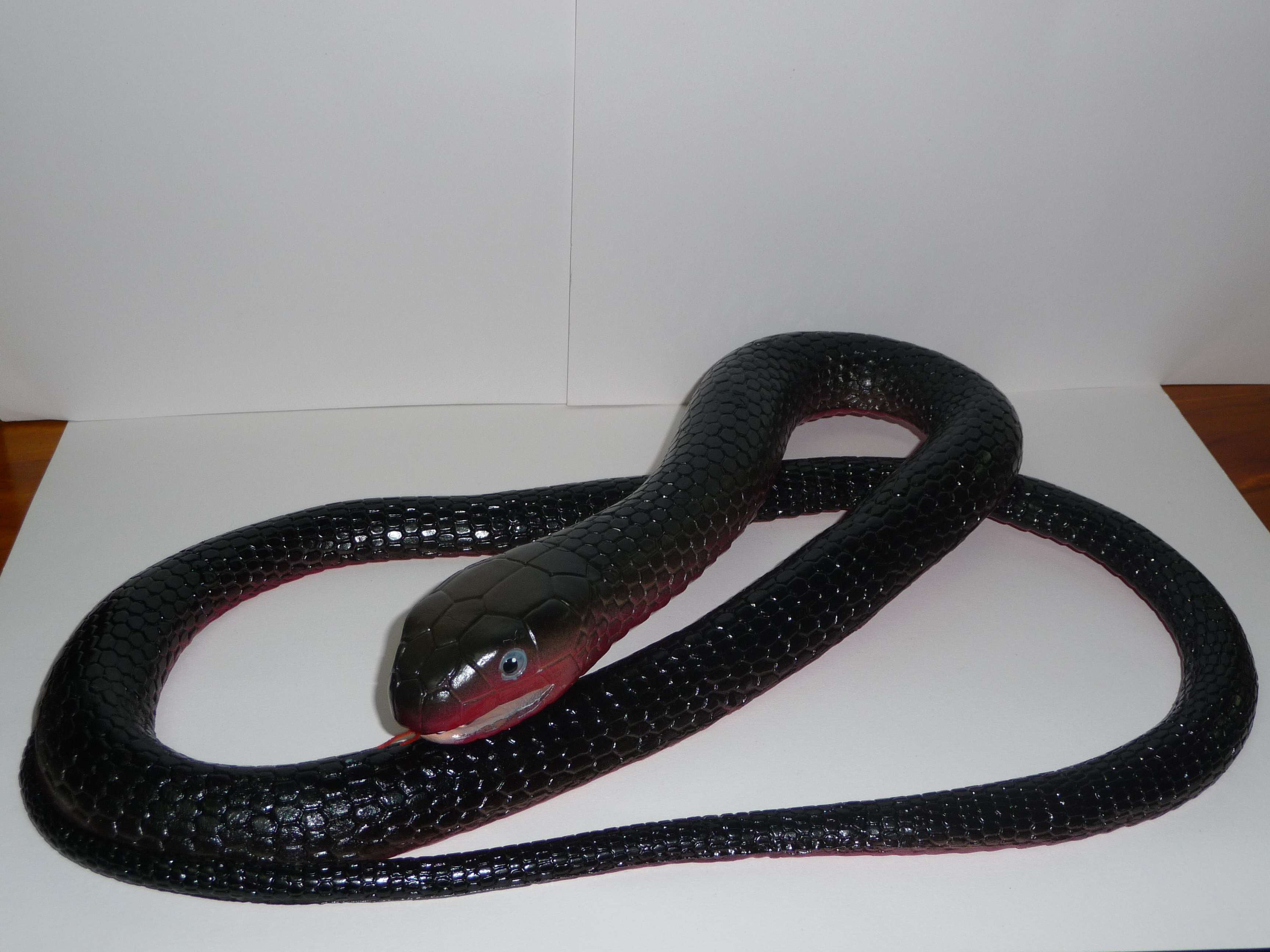 Red Bellied Black Snake 72” | Fun & Games, Montville