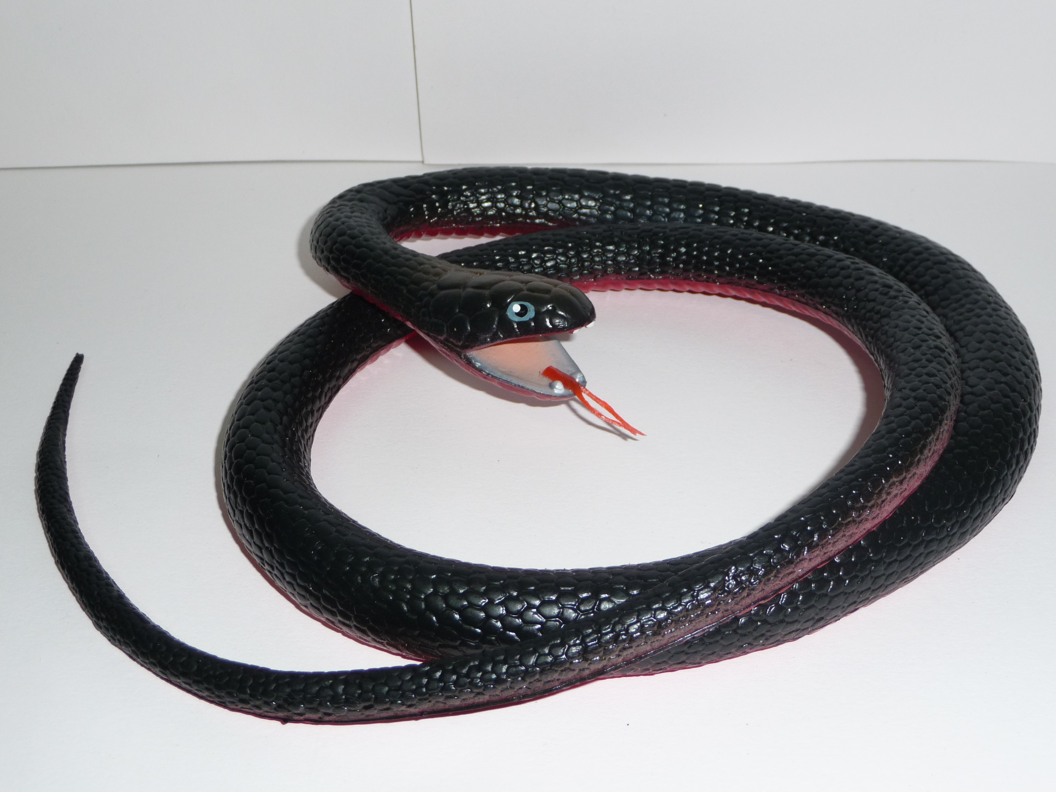 Red Bellied Black Snake 46” | Fun & Games, Montville