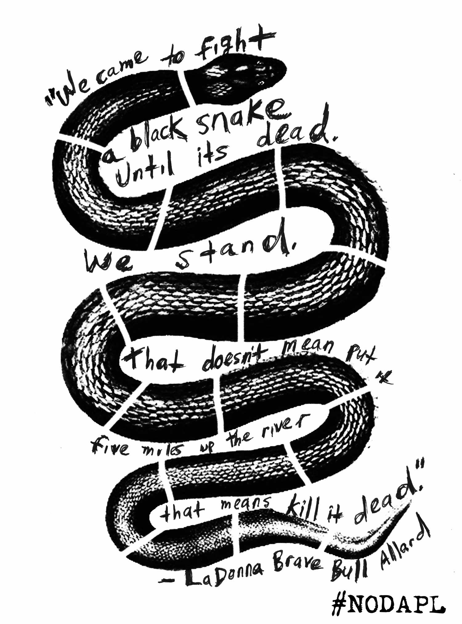 Justseeds | We Came to Fight A Black Snake