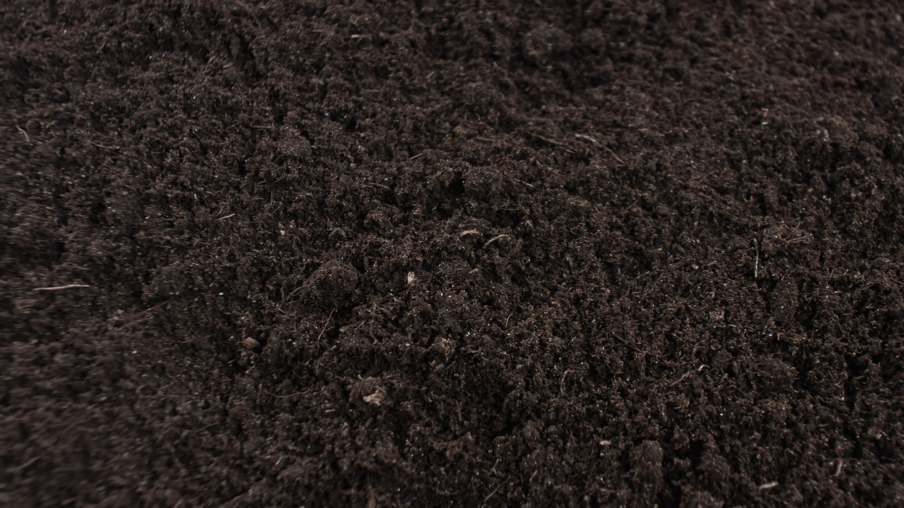 Black soil motion background, Garden soil 4k Stock Video Footage ...