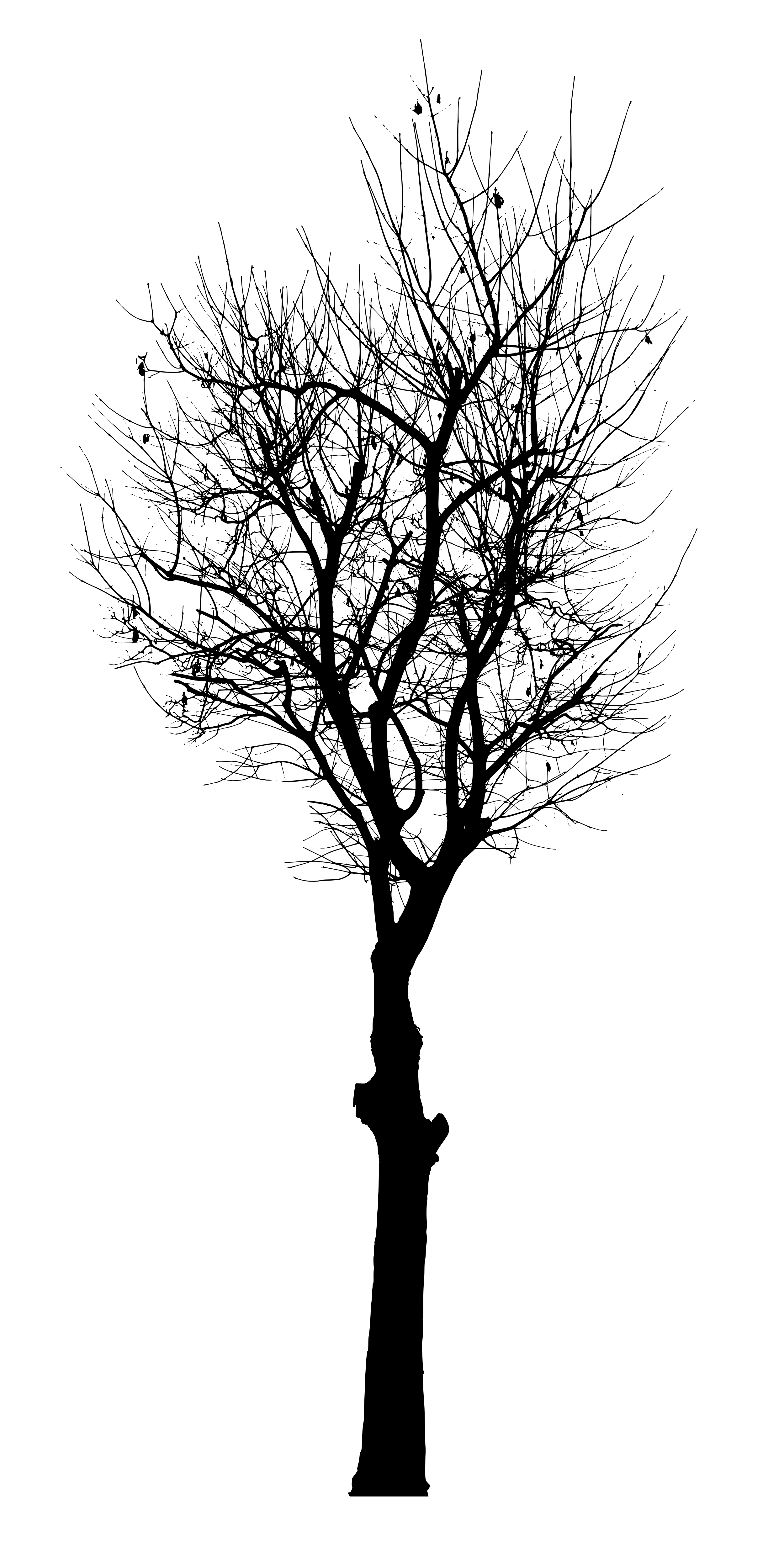 Black Tree Vector (SVG, PNG) | OnlyGFX.com