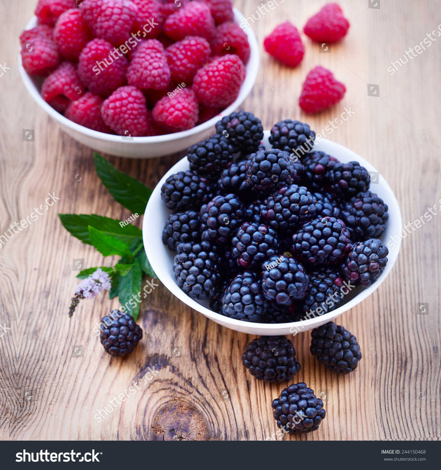 Fresh Blackberries Raspberries White Cup On Stock Photo 244150468 ...