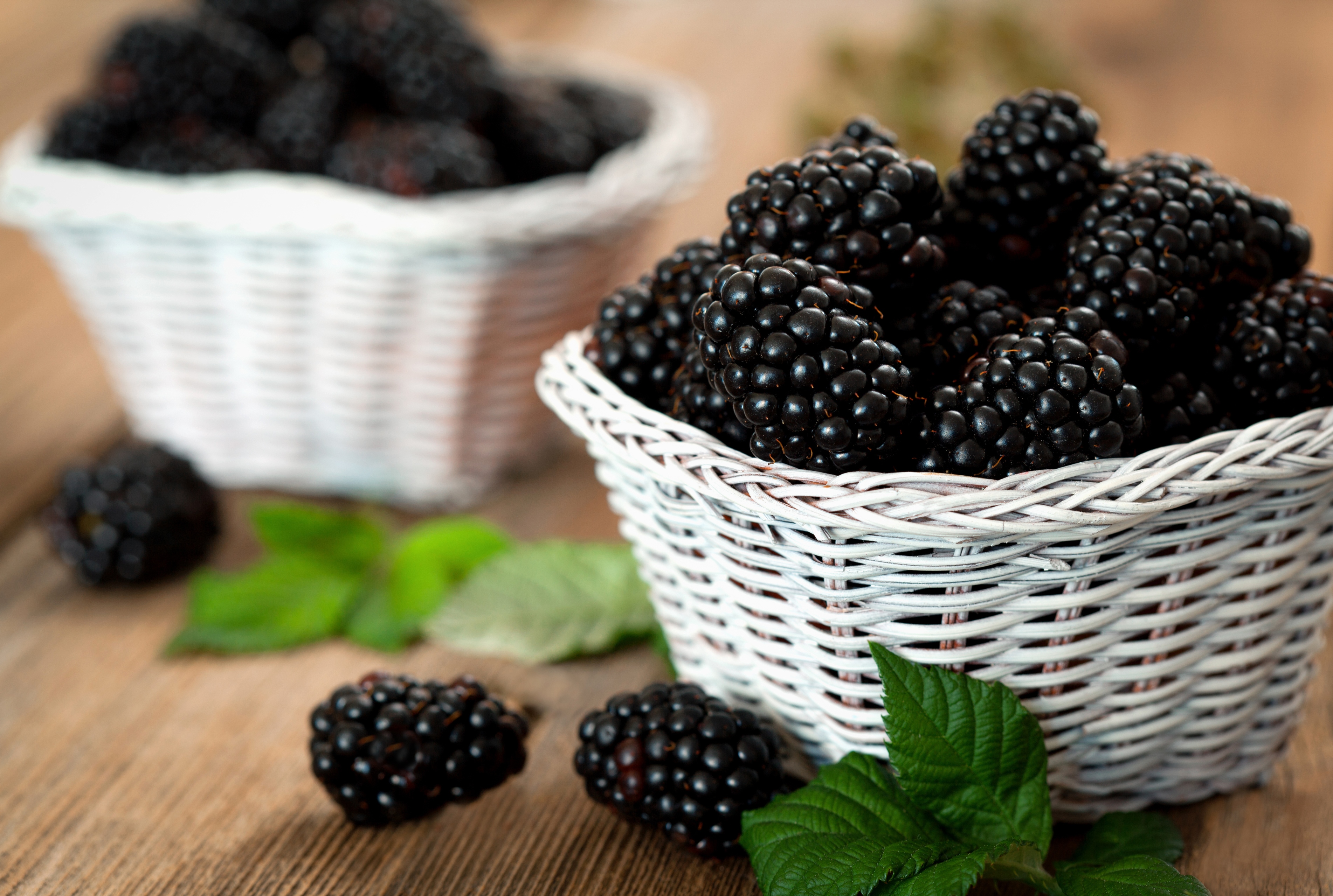 Fresh blackberries in a white basket on a table wallpapers and ...