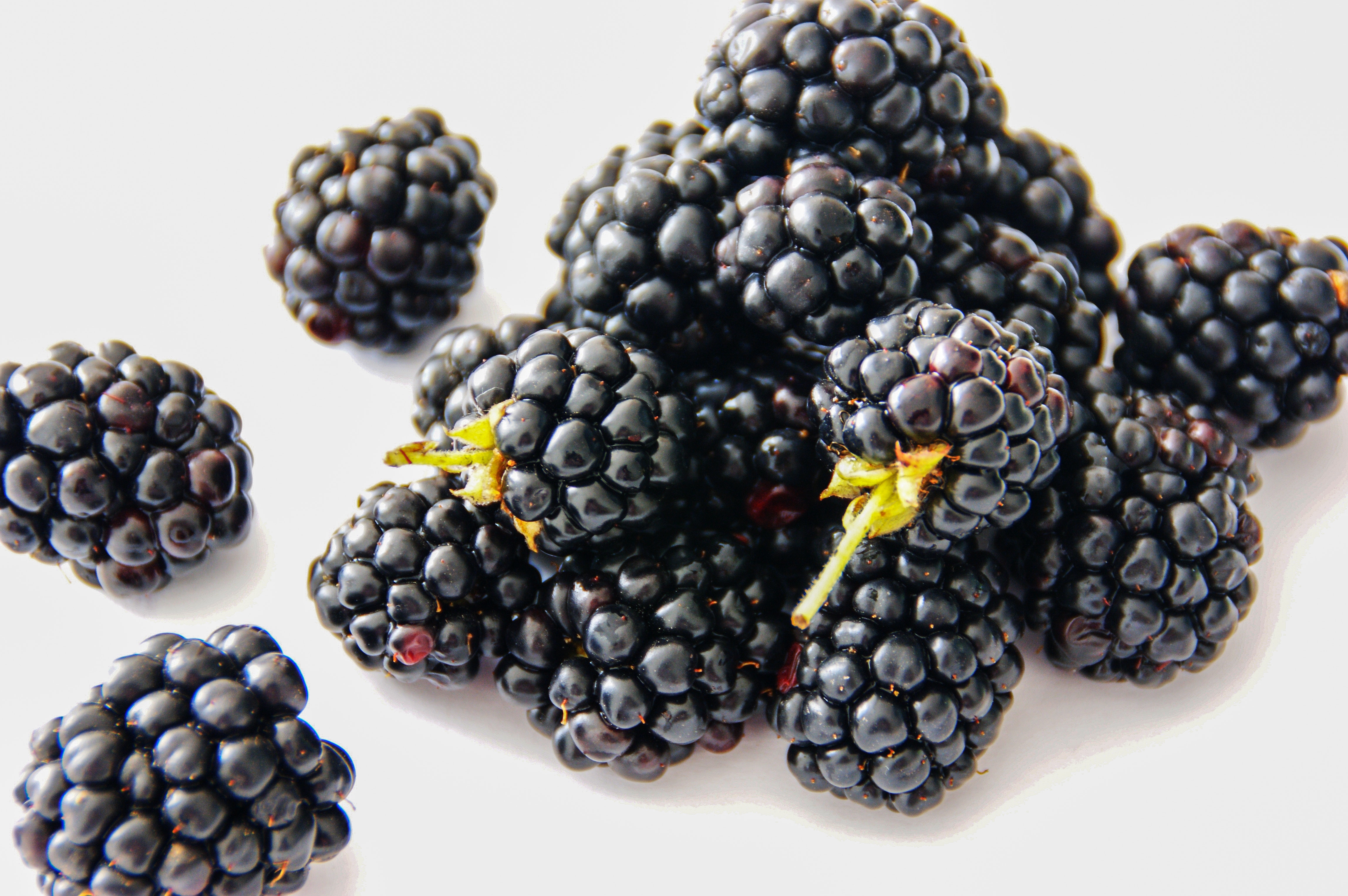 Blackberries on table photo