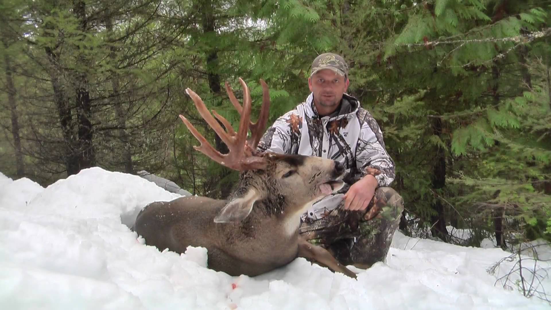 huge record book blacktail deer Howtohunt.com,follow on FB - YouTube
