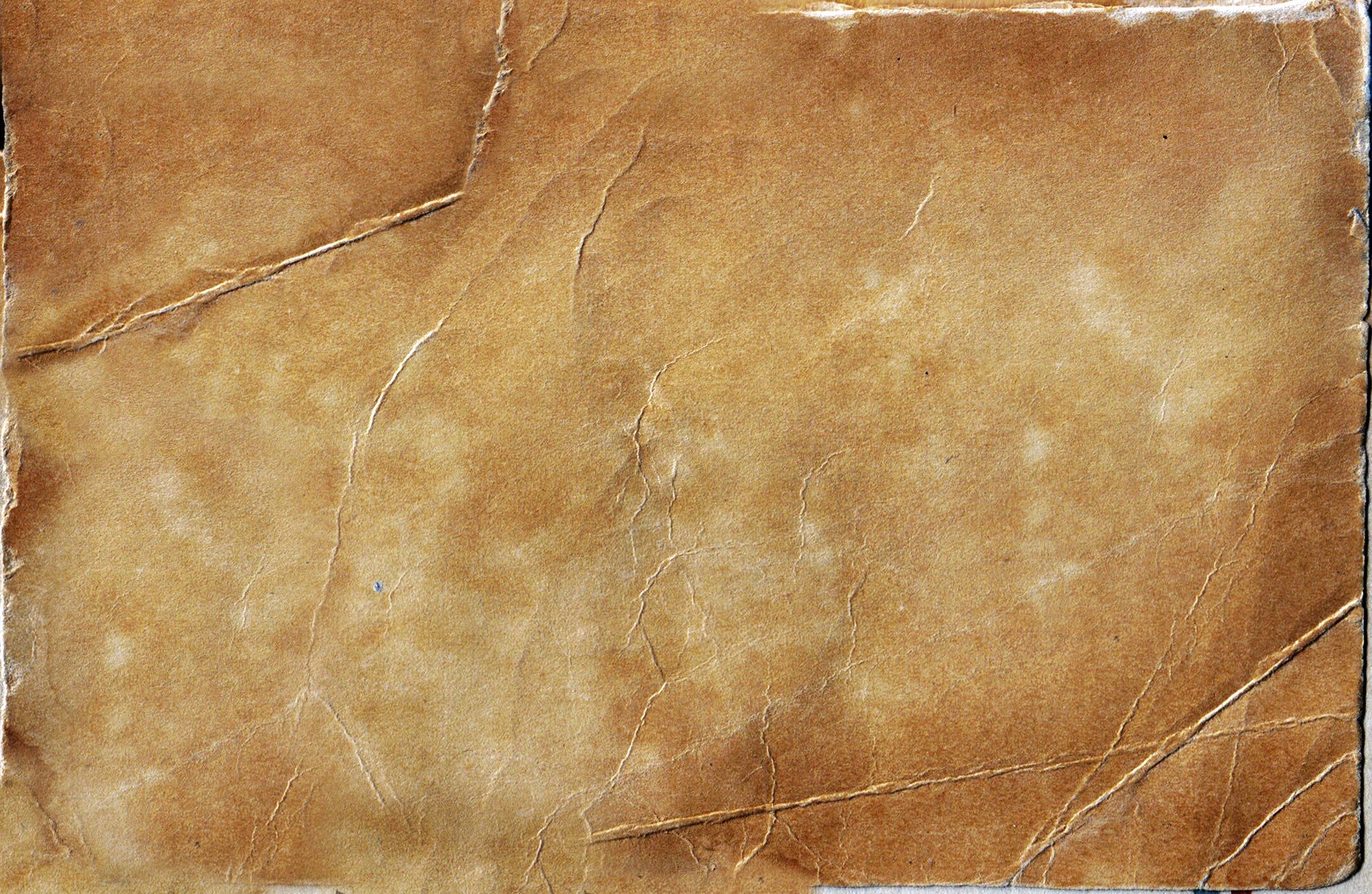 Parchment Paper Texture