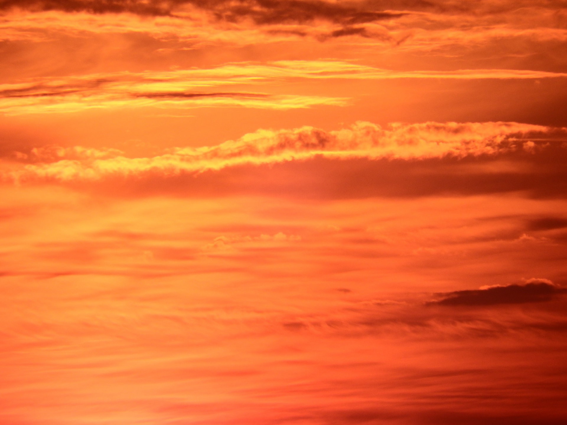 Bright Orange Sunset Sky Free Stock Photo - Public Domain Pictures