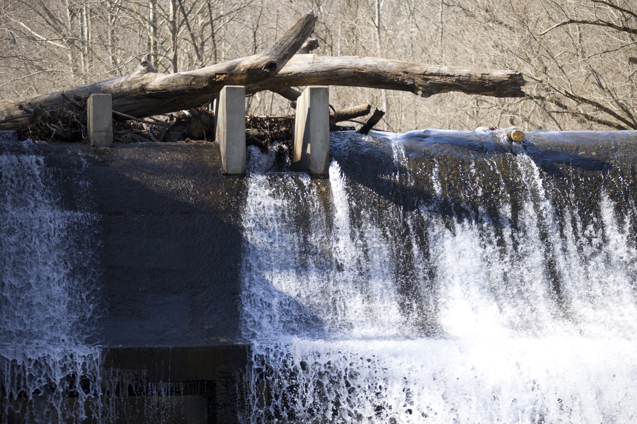 Bids set to go out for removal of Bloede Dam at Patapsco Valley ...