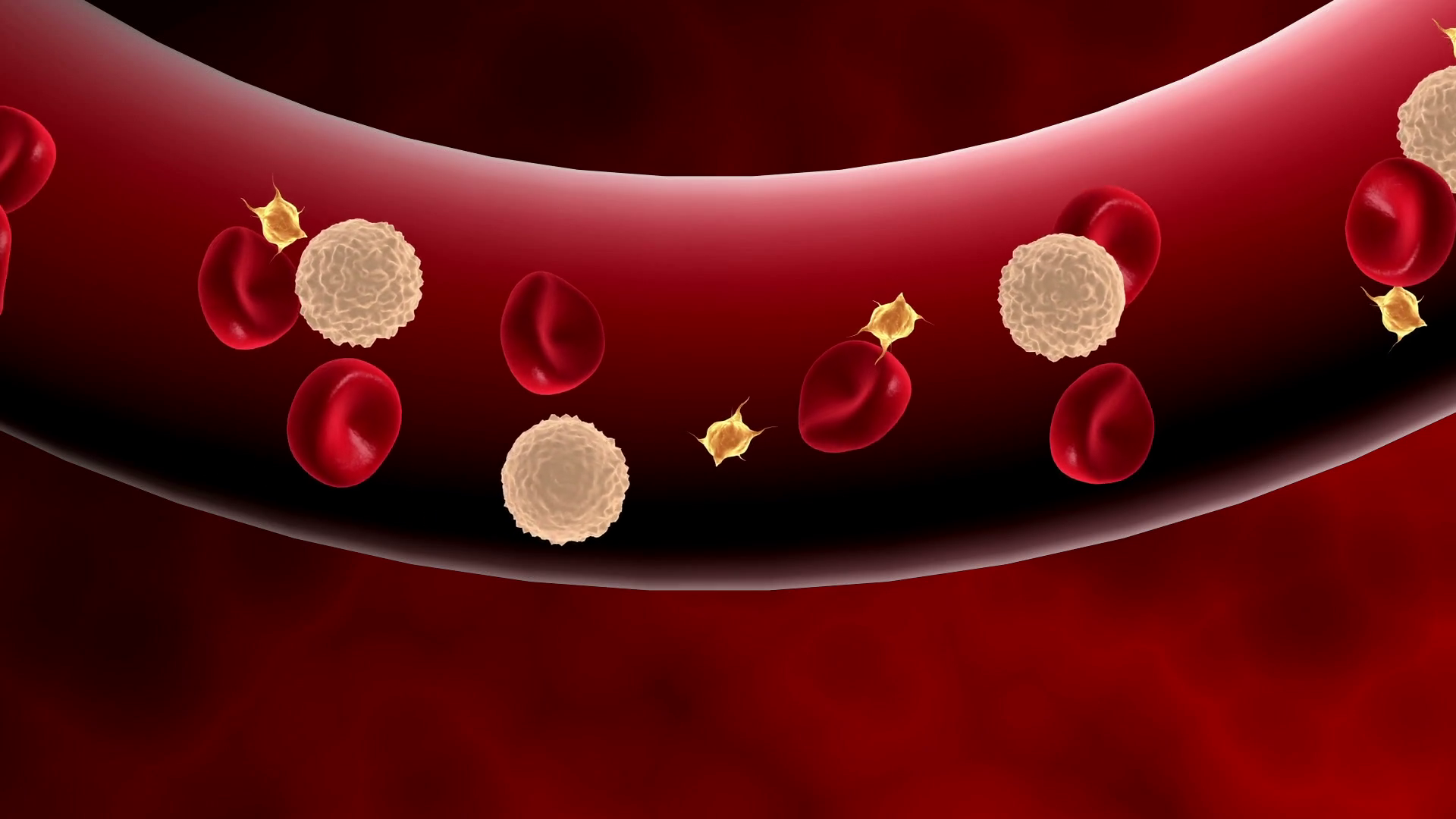 Blood cells moving through blood vessel. Motion Background - Videoblocks