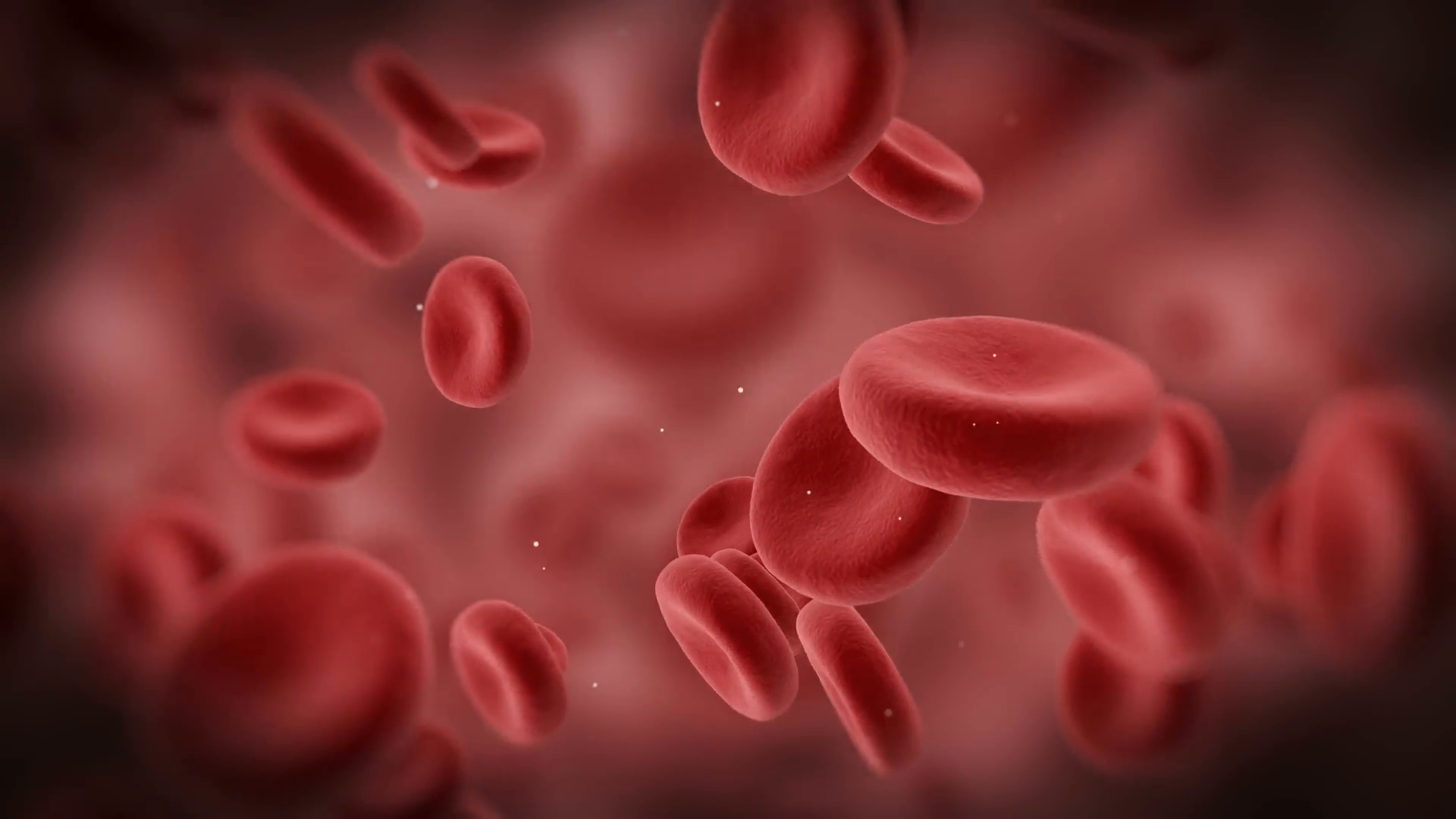 Animation of Red Blood Cells Flowing Through Vein. HQ Video Clip ...