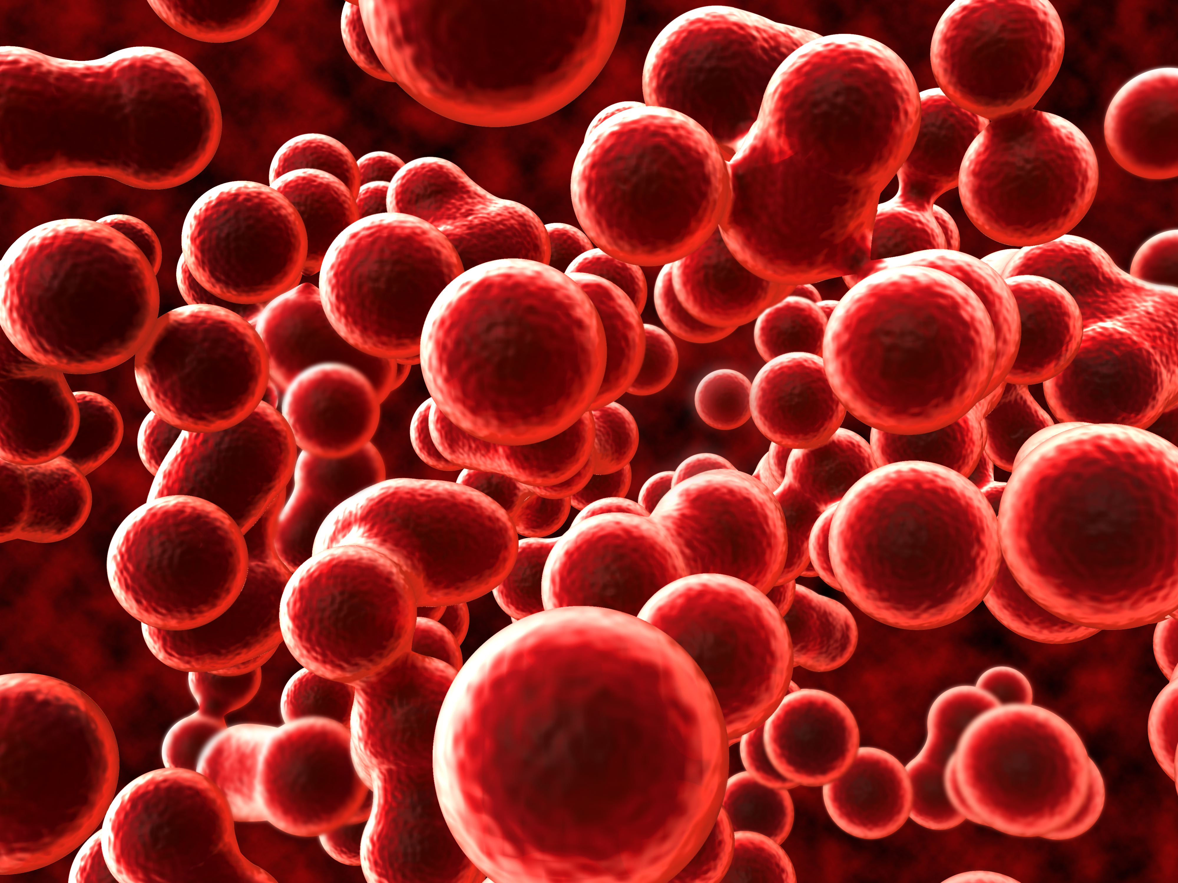 Avoiding Anemia - Boost Your Red Blood Cells - AMAC - The ...