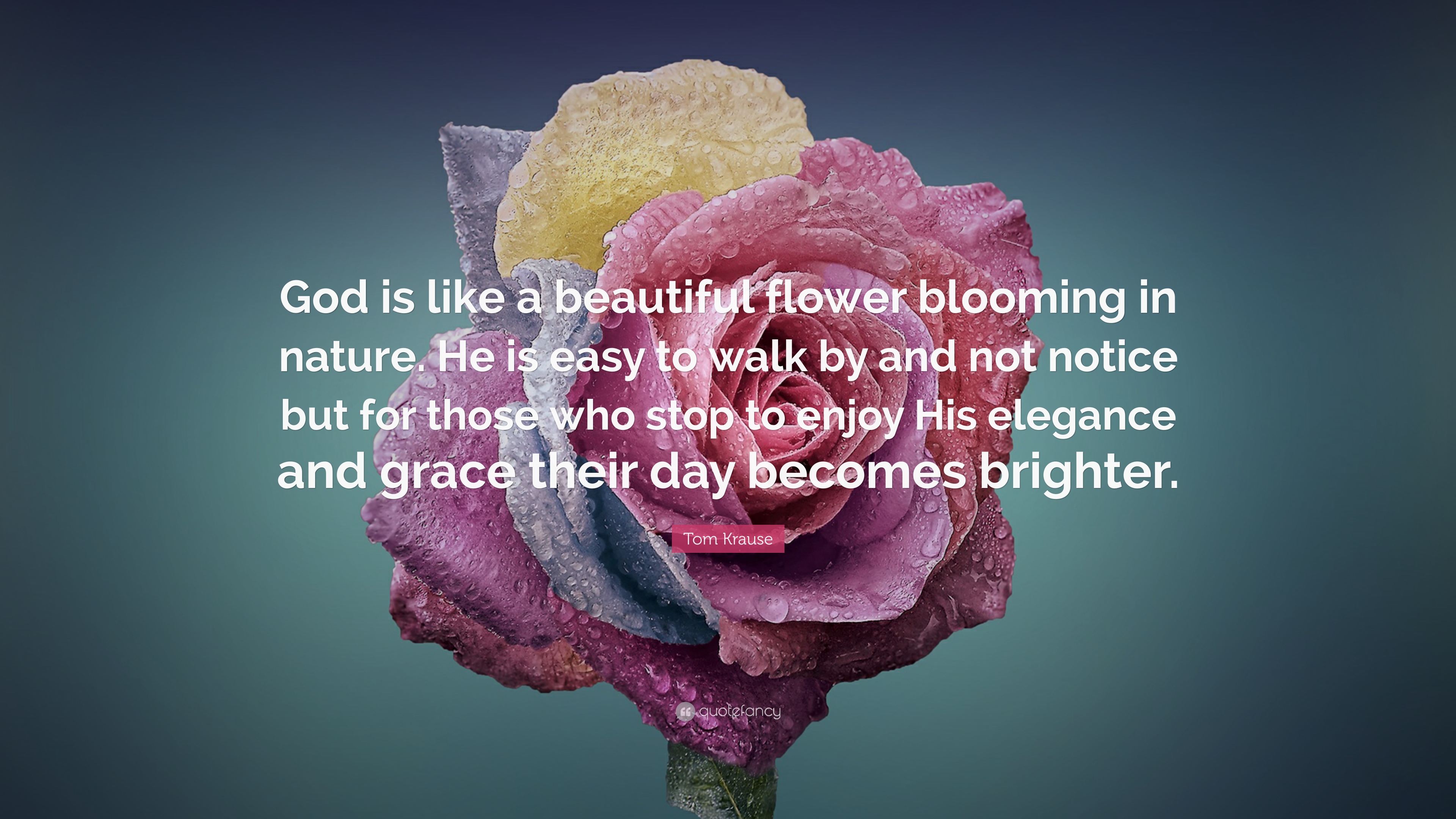 Tom Krause Quote: “God is like a beautiful flower blooming in nature ...