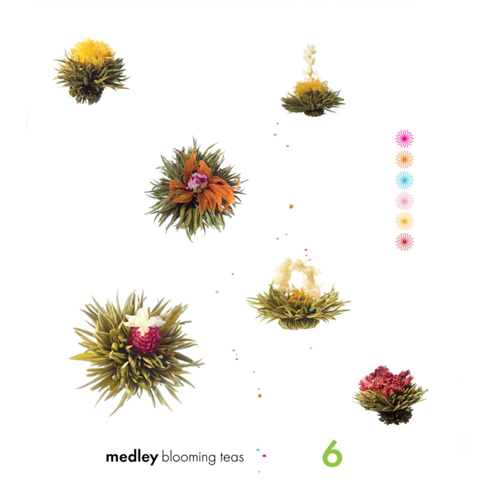Medley Blooming Tea - teaposy.com