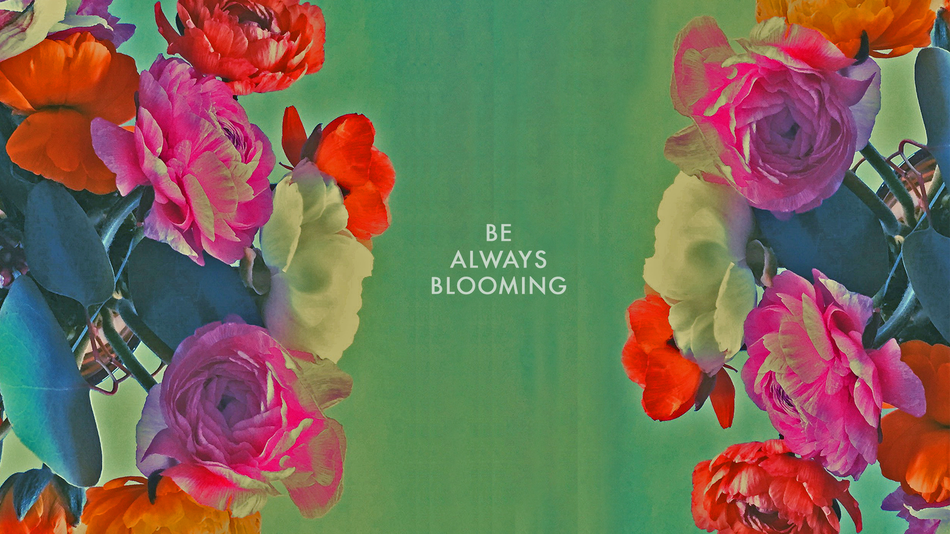 Be always Blooming | JungalowJungalow