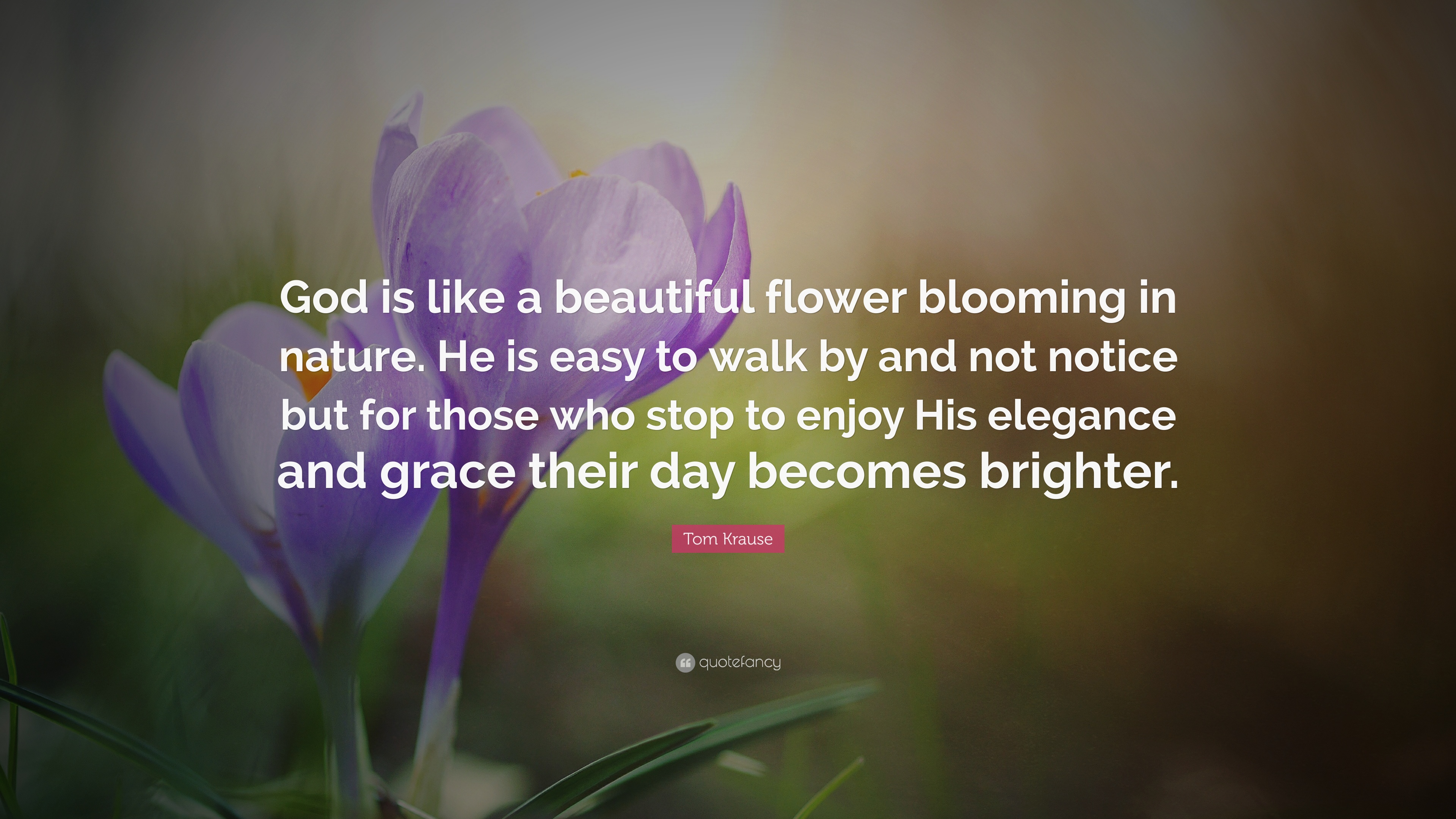 Tom Krause Quote: “God is like a beautiful flower blooming in nature ...