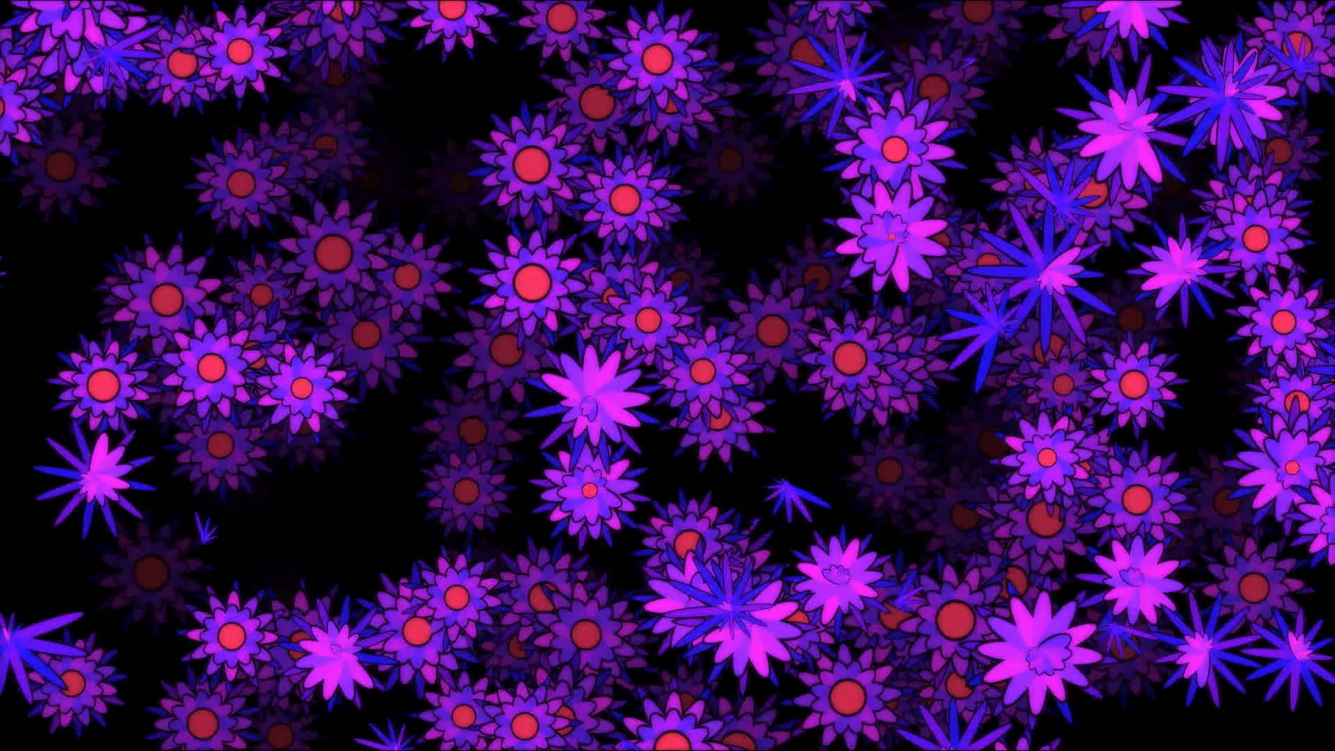 Colorful Rotating Blooming Flowers Animation - Loop Purple Motion ...