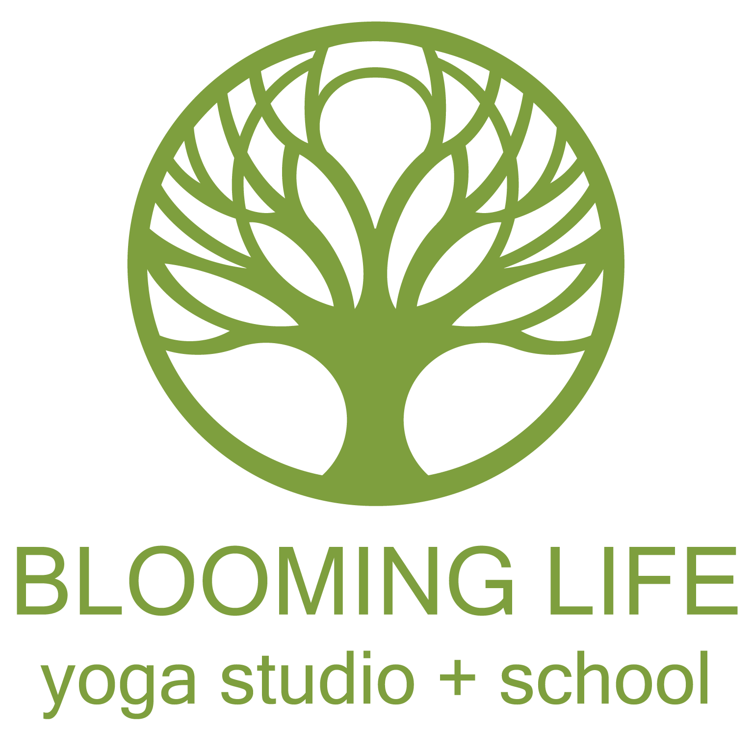 Blooming Life Yoga Studio + School - Yoga Studio in Zionsville