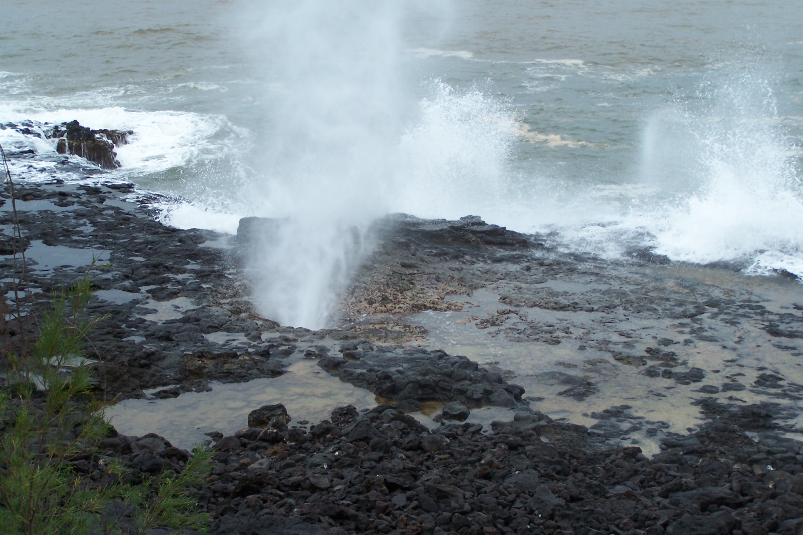 Blow hole in hawaii 3 photo