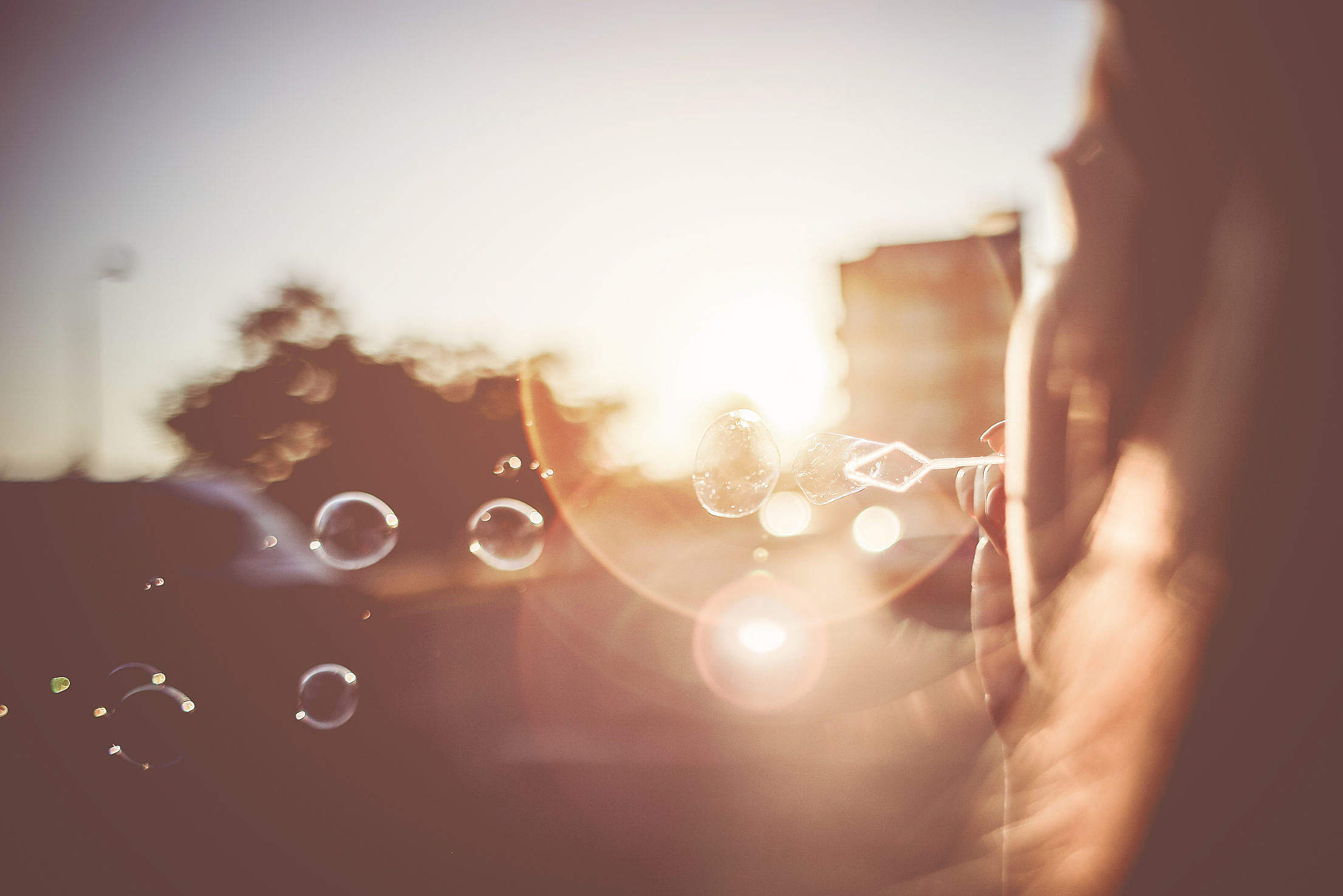 Girl Blowing Bubbles in the Sunset Evening Free Stock Photo Download ...