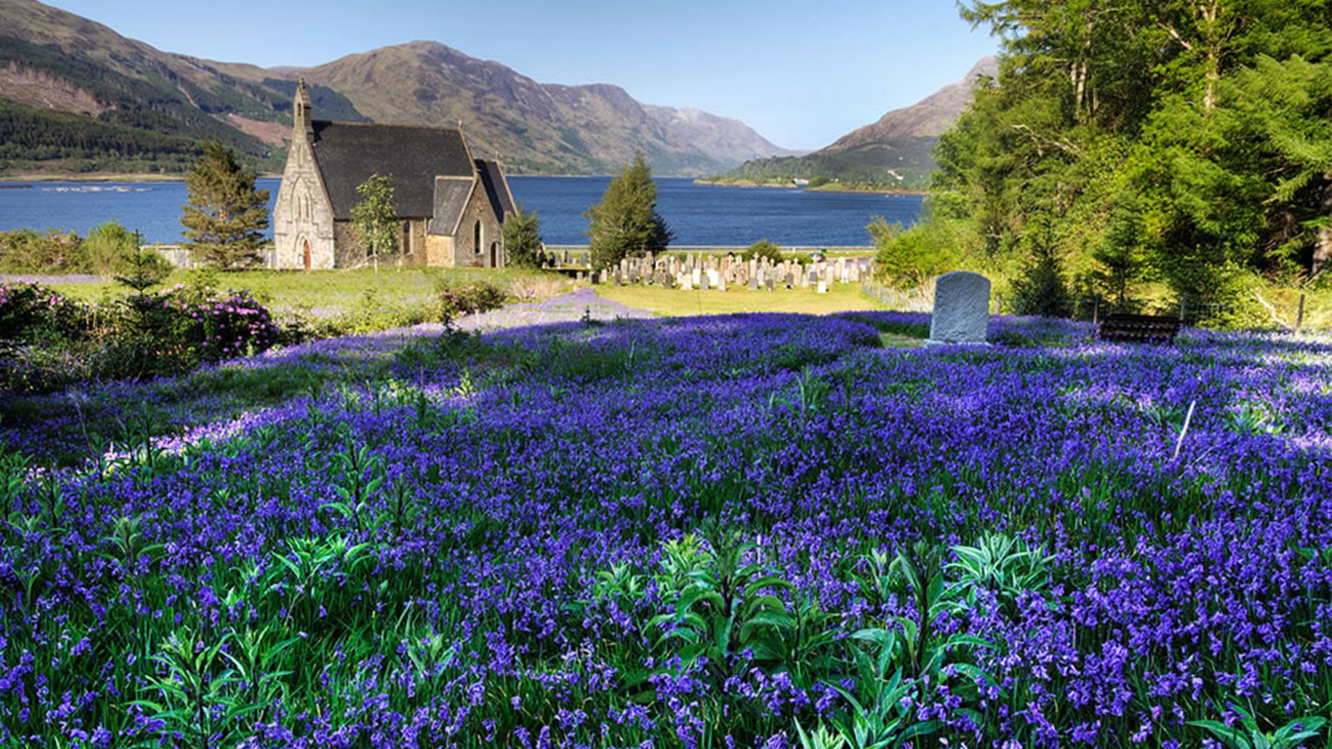 The Blue Bells of Scotland' - Performed on the guitar by Ulrich ...