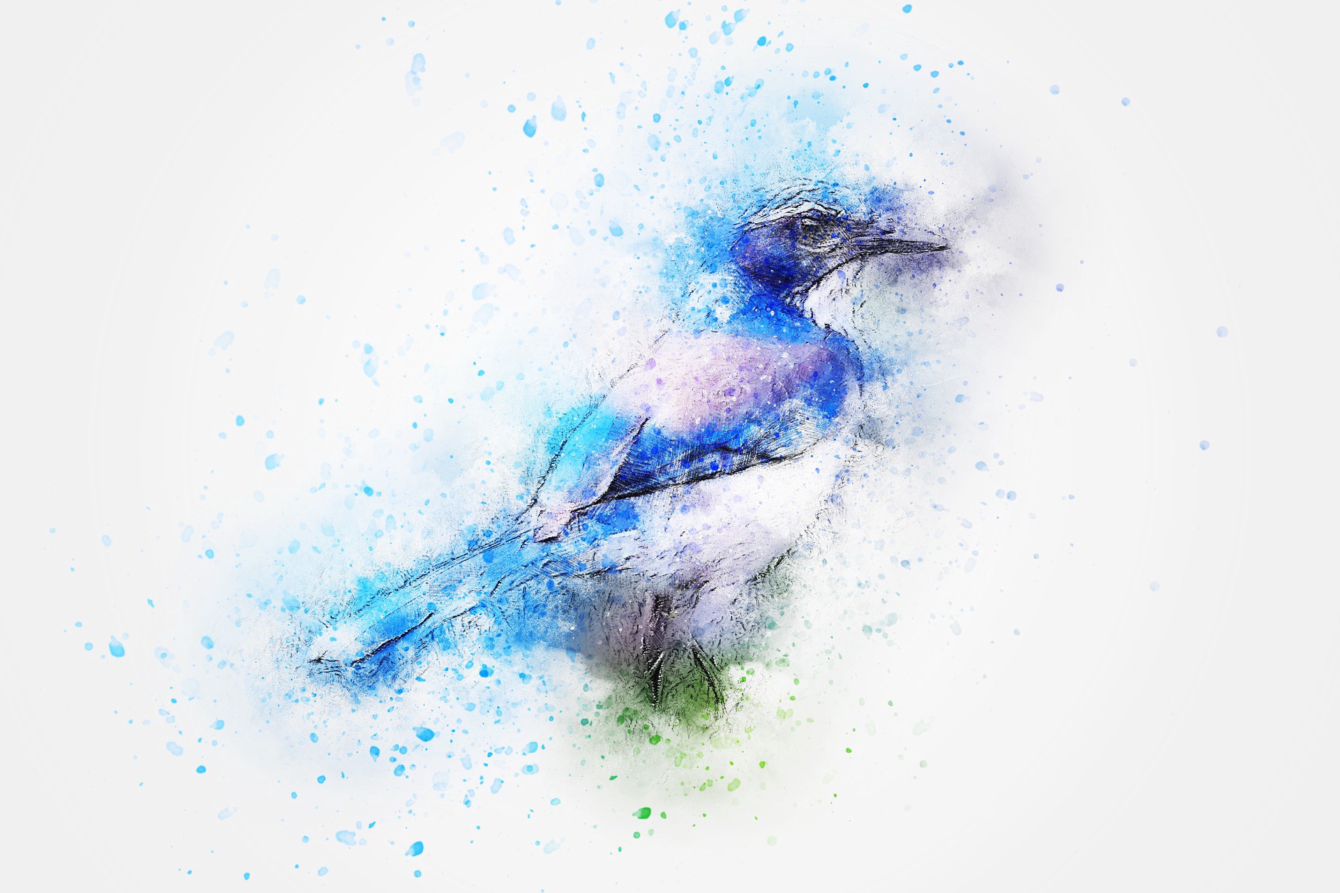 The Blue Bird – P.S. I Love You