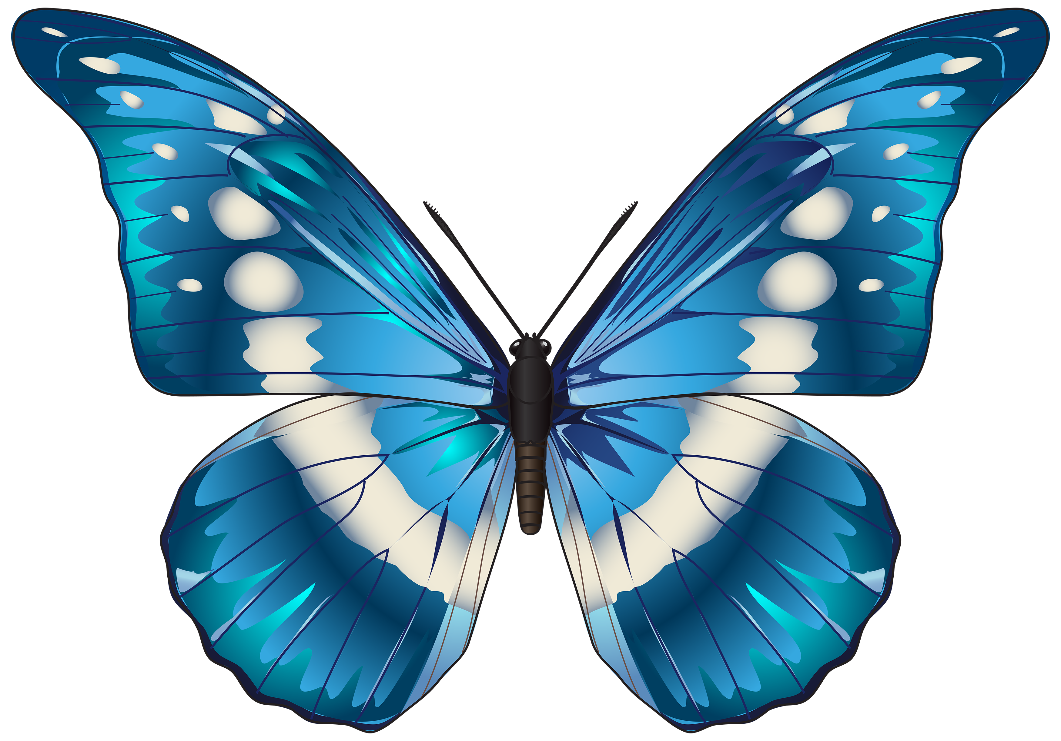 Butterfly Blue PNG Clip Art Image | Gallery Yopriceville - High ...