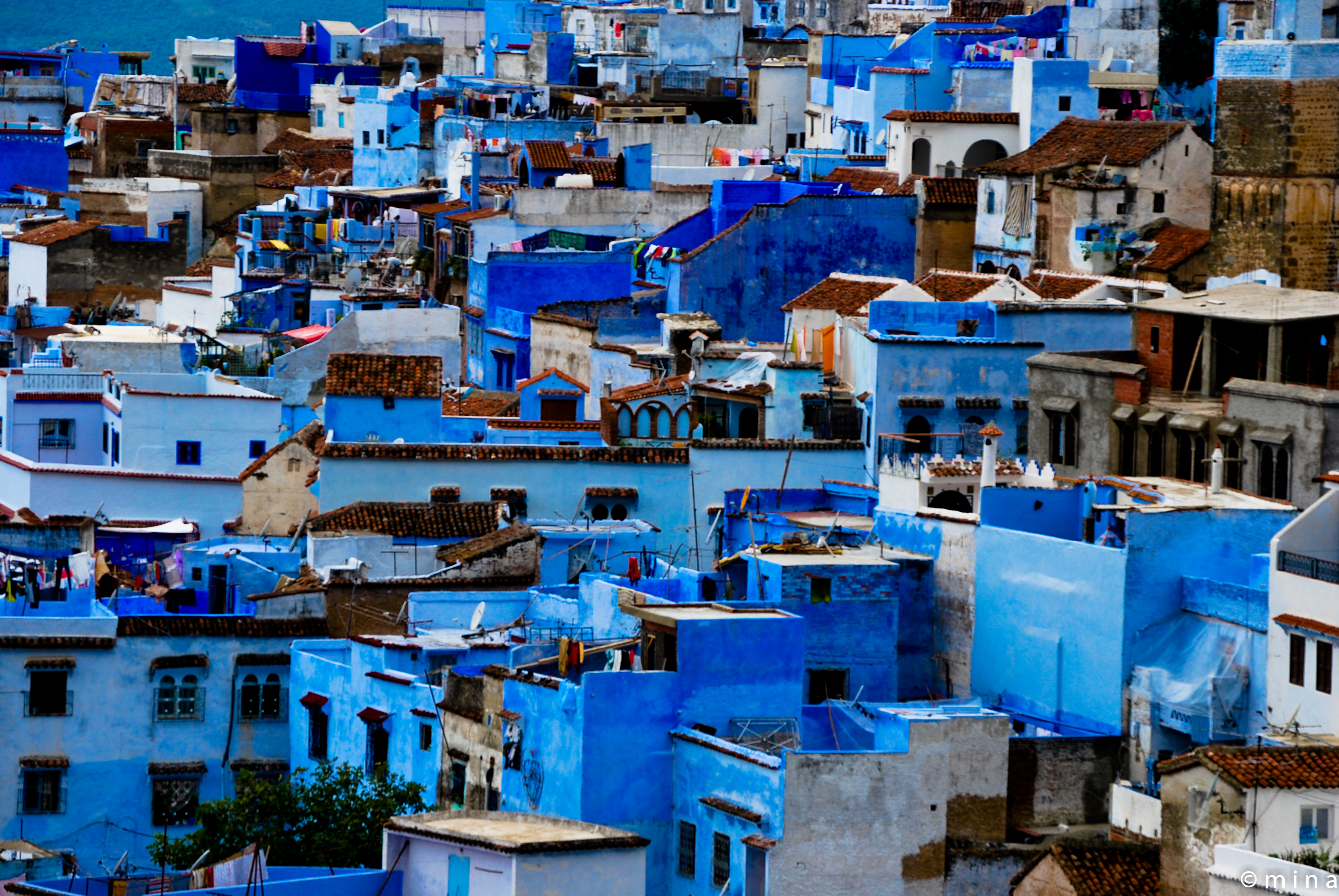 Blue city photo