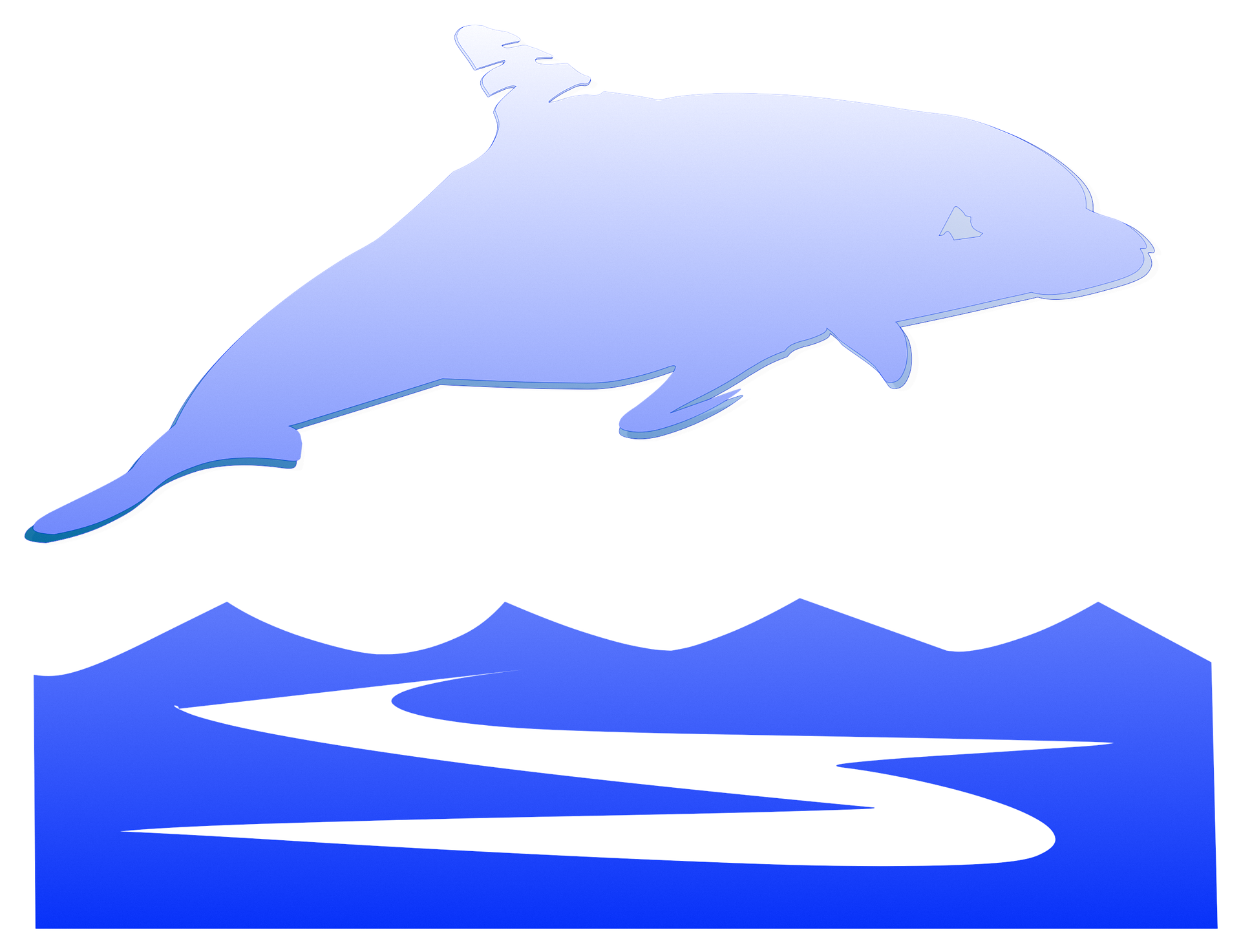 Blue dolphin photo