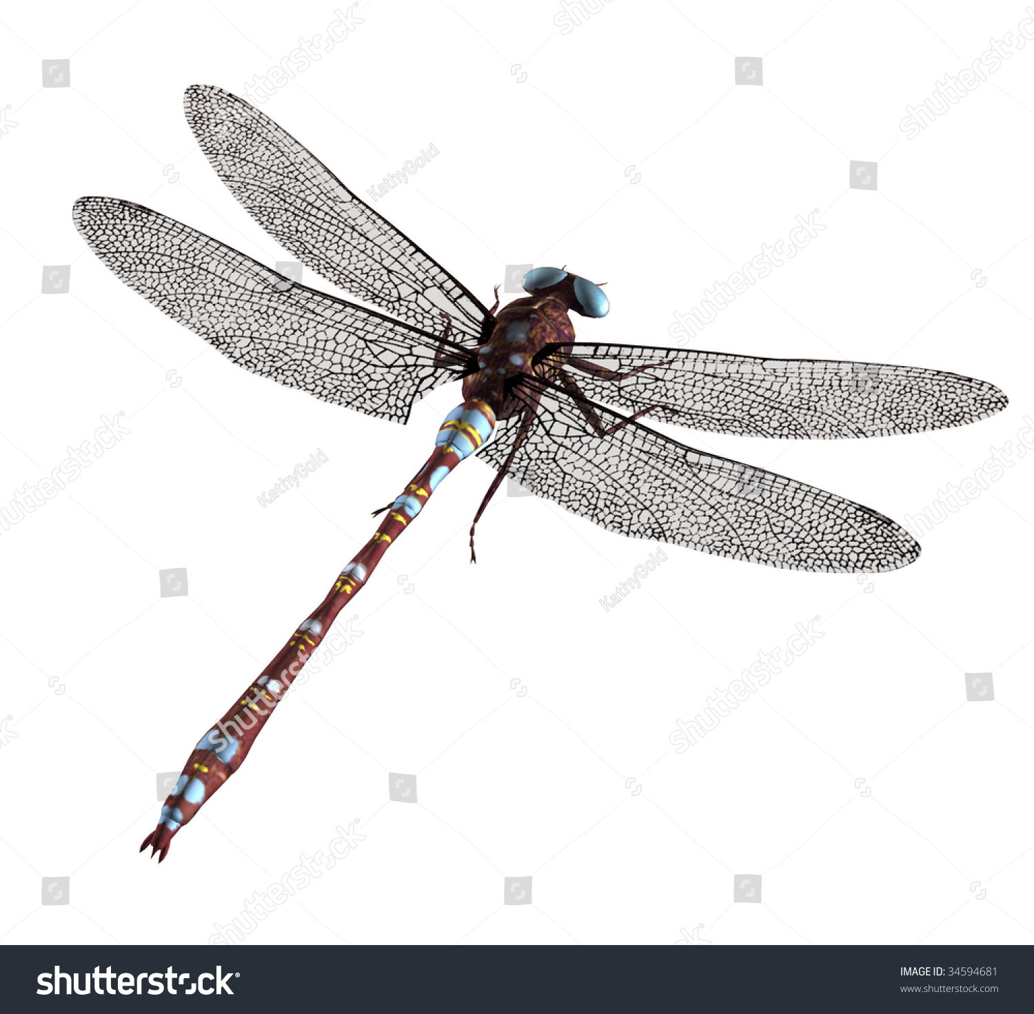 Brown Blue Dragonfly Blue Eyes Wings Stock Illustration 34594681 ...