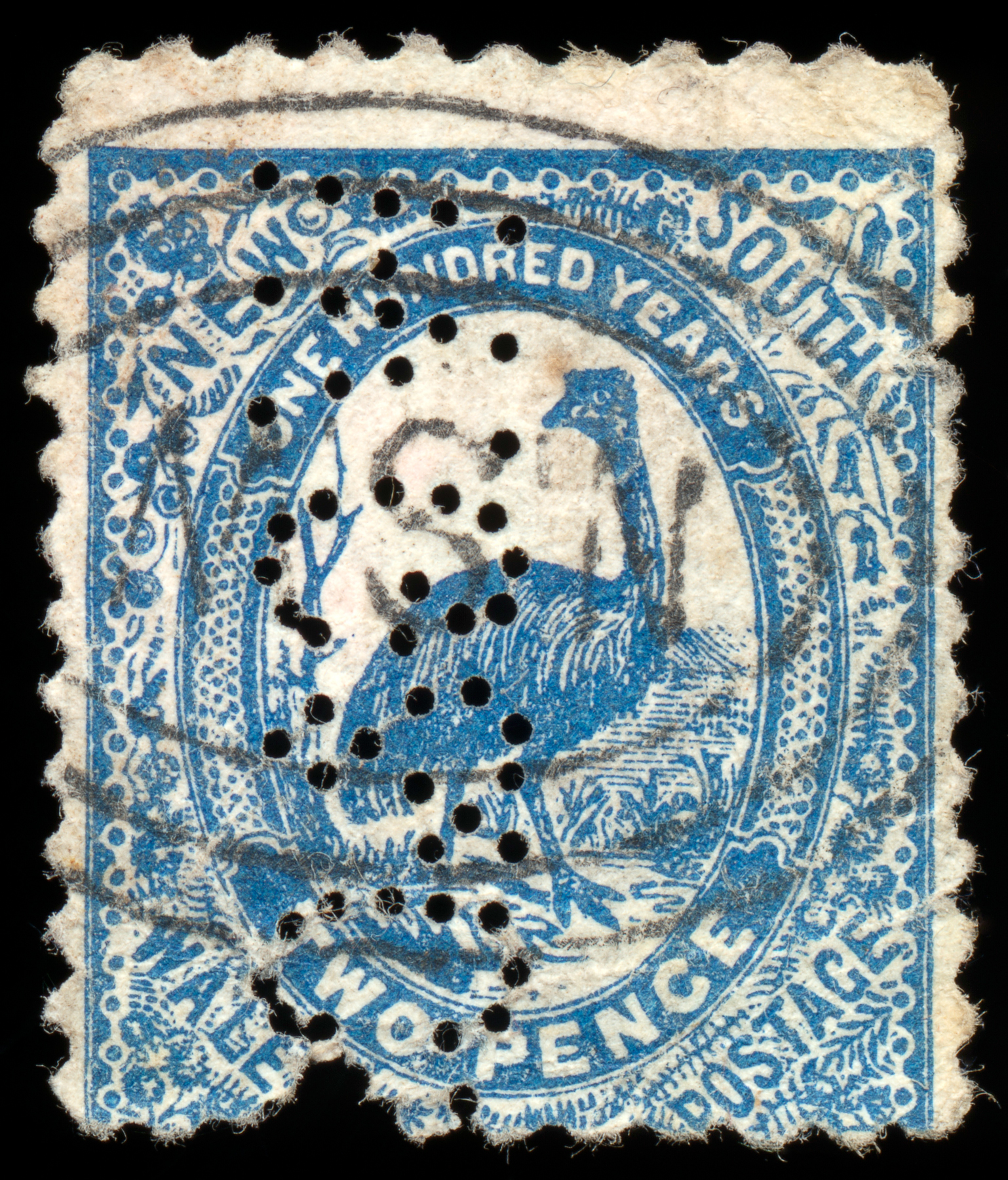 Blue emu stamp photo