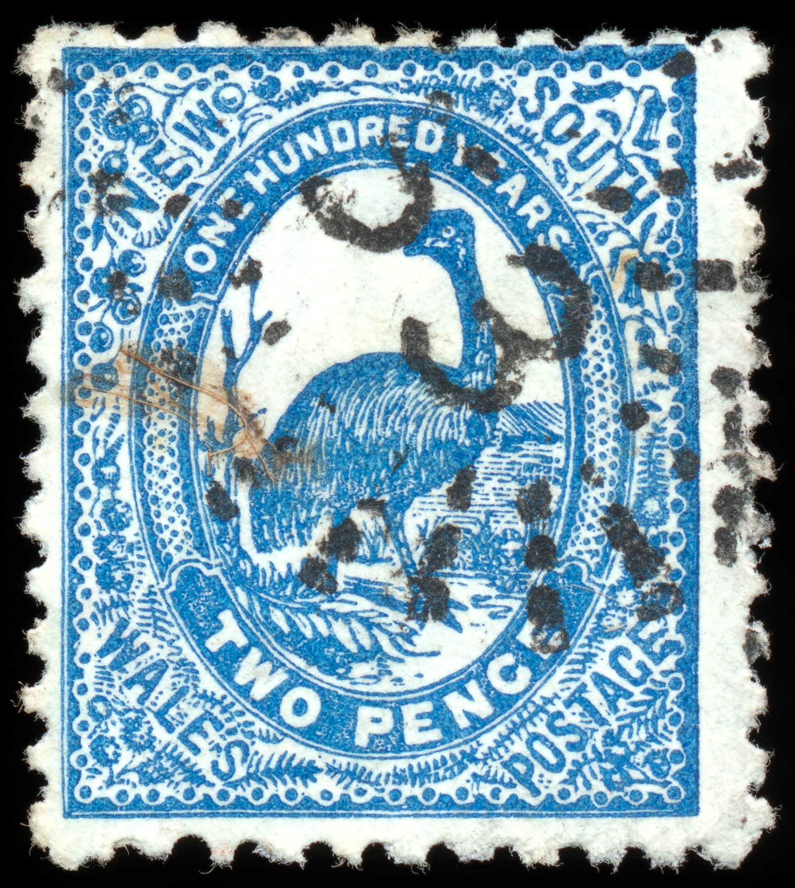 Blue Emu Stamp, 2, Postal, Resolution, Res, HQ Photo