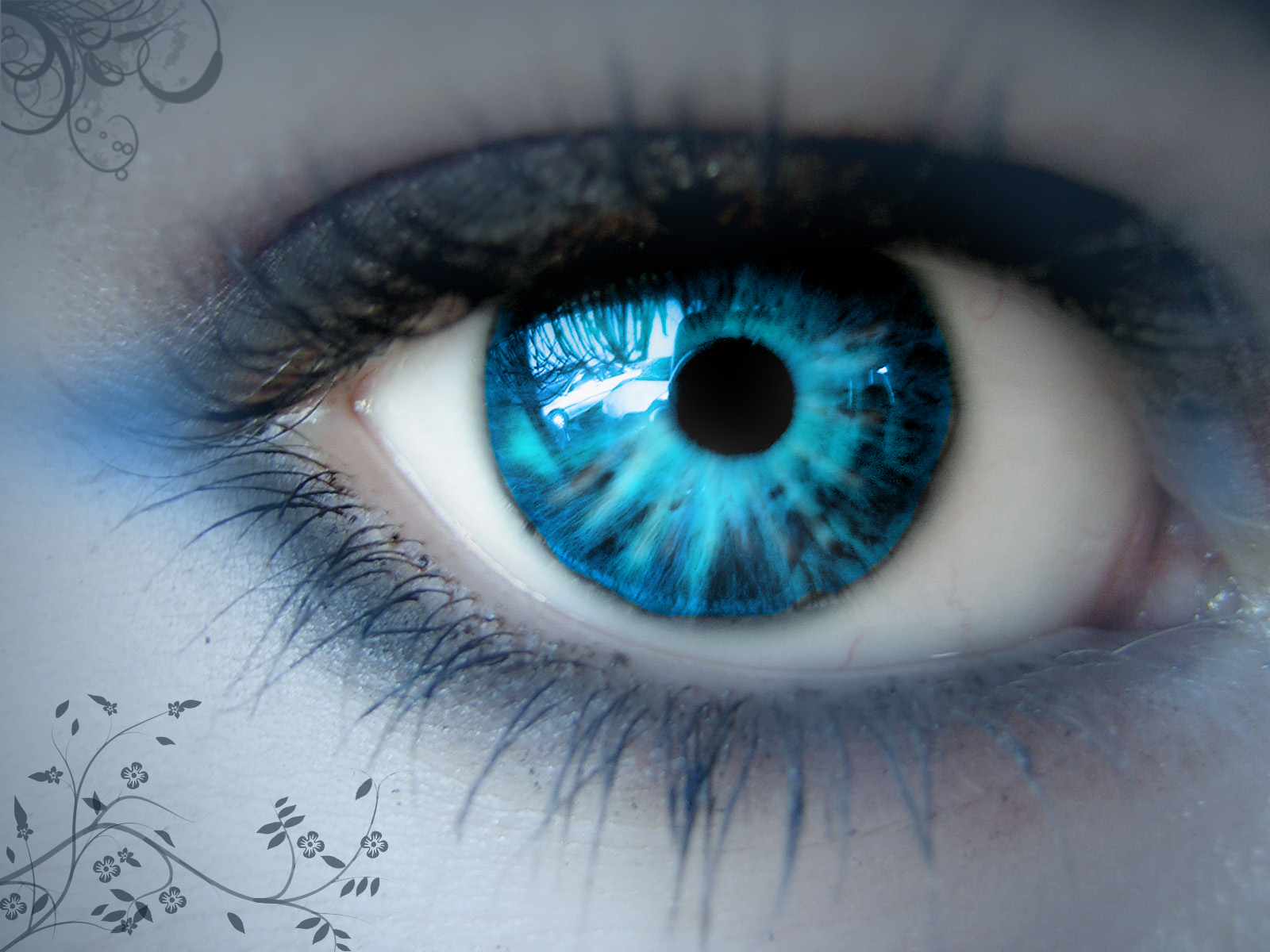 The Blue Eye | Creepypasta Wiki | FANDOM powered by Wikia