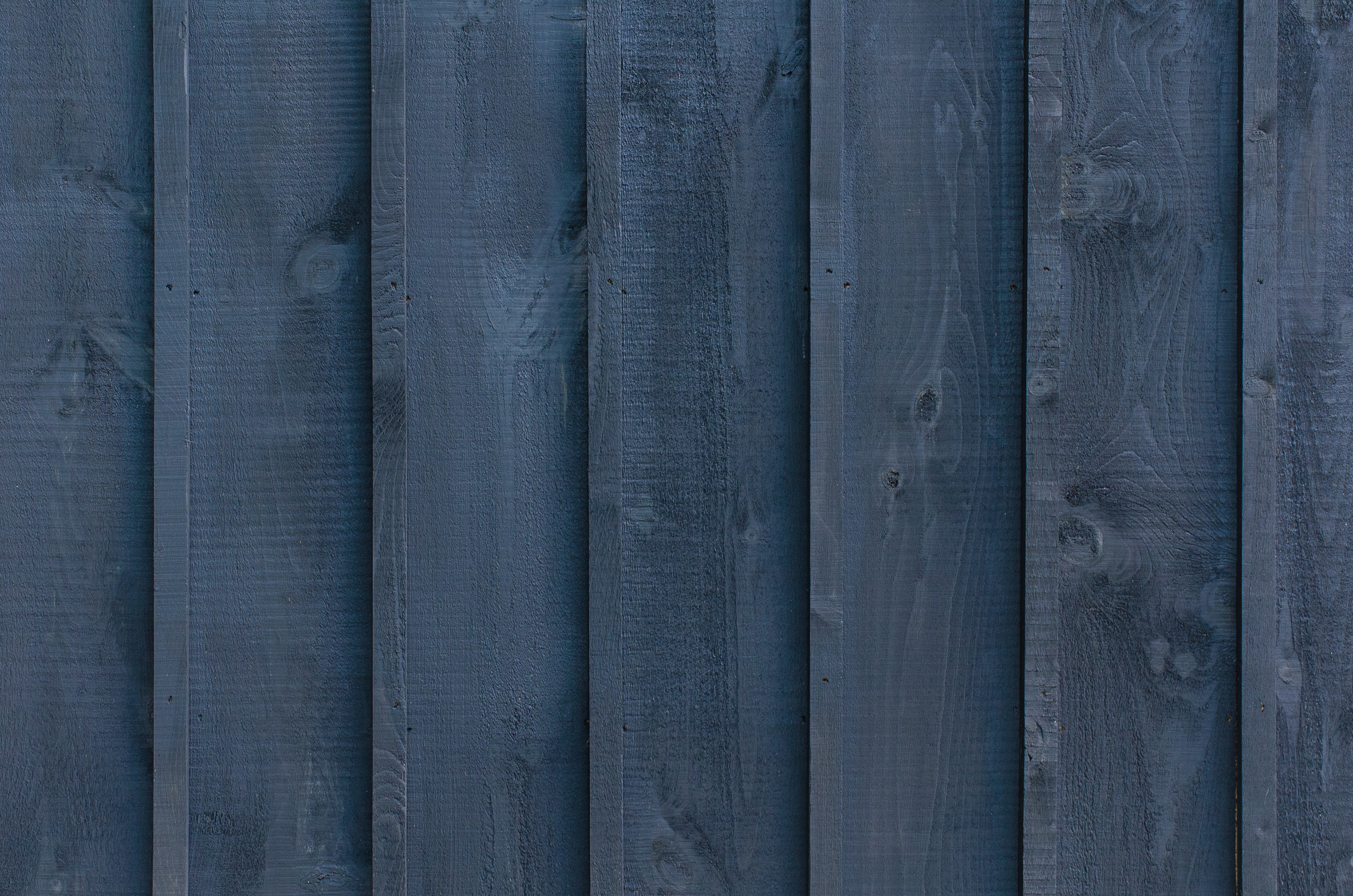 Free stock photo of blue, fence, wall