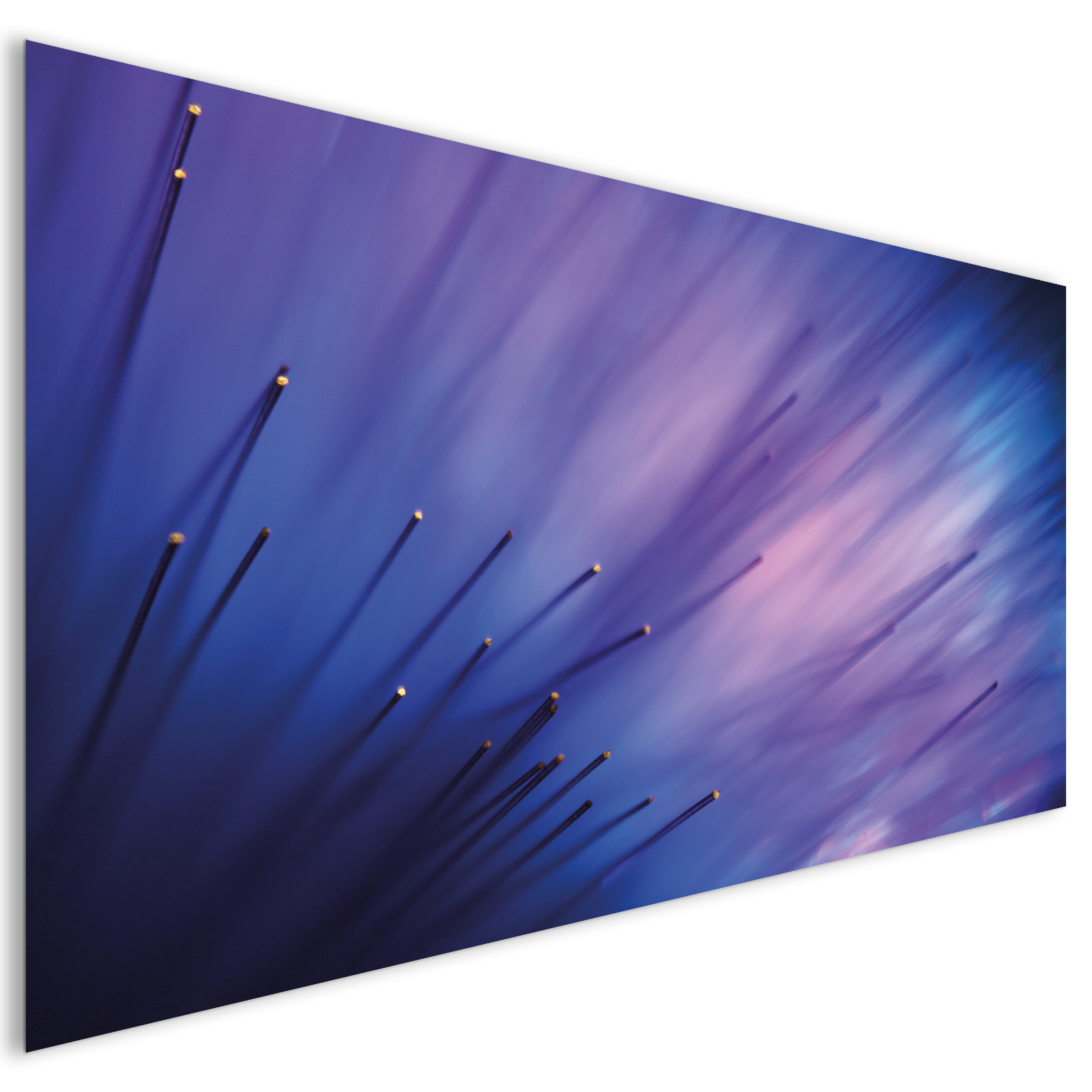 EXTRA LARGE Abstract Blue Flower Acrylic Glass Wall Art - Laguna Project