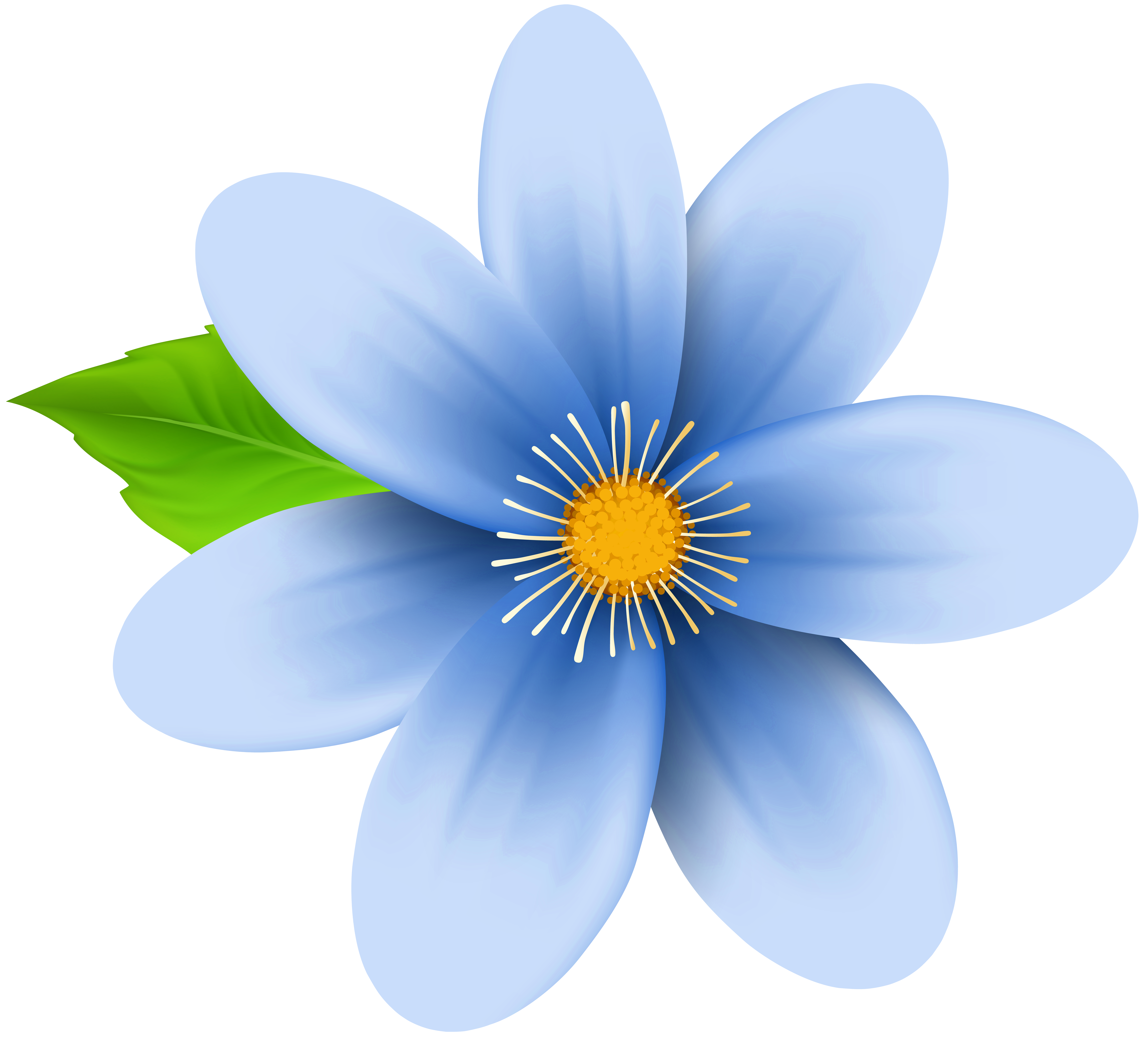 Blue Flower Clip Art Image | Gallery Yopriceville - High-Quality ...