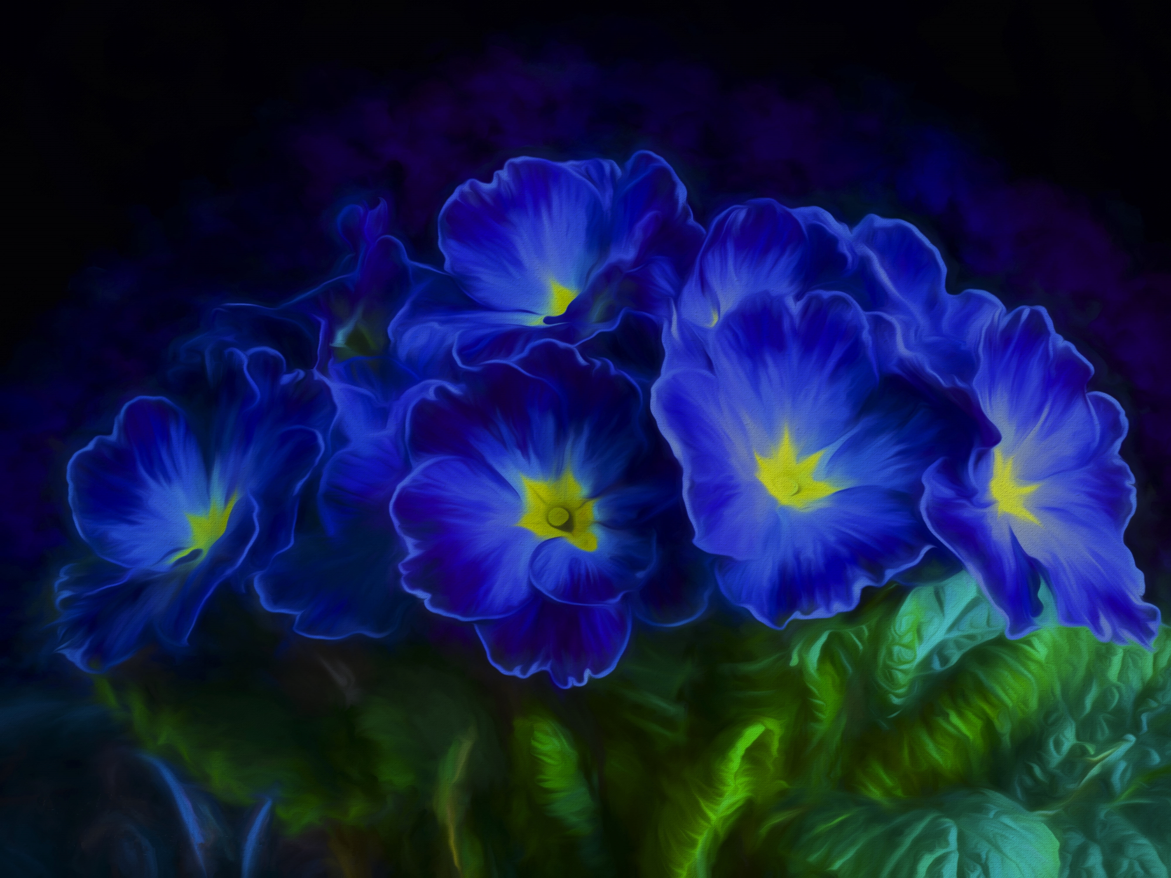 Wallpaper Primrose Blue flowers, HD, 4K, Flowers, #6357