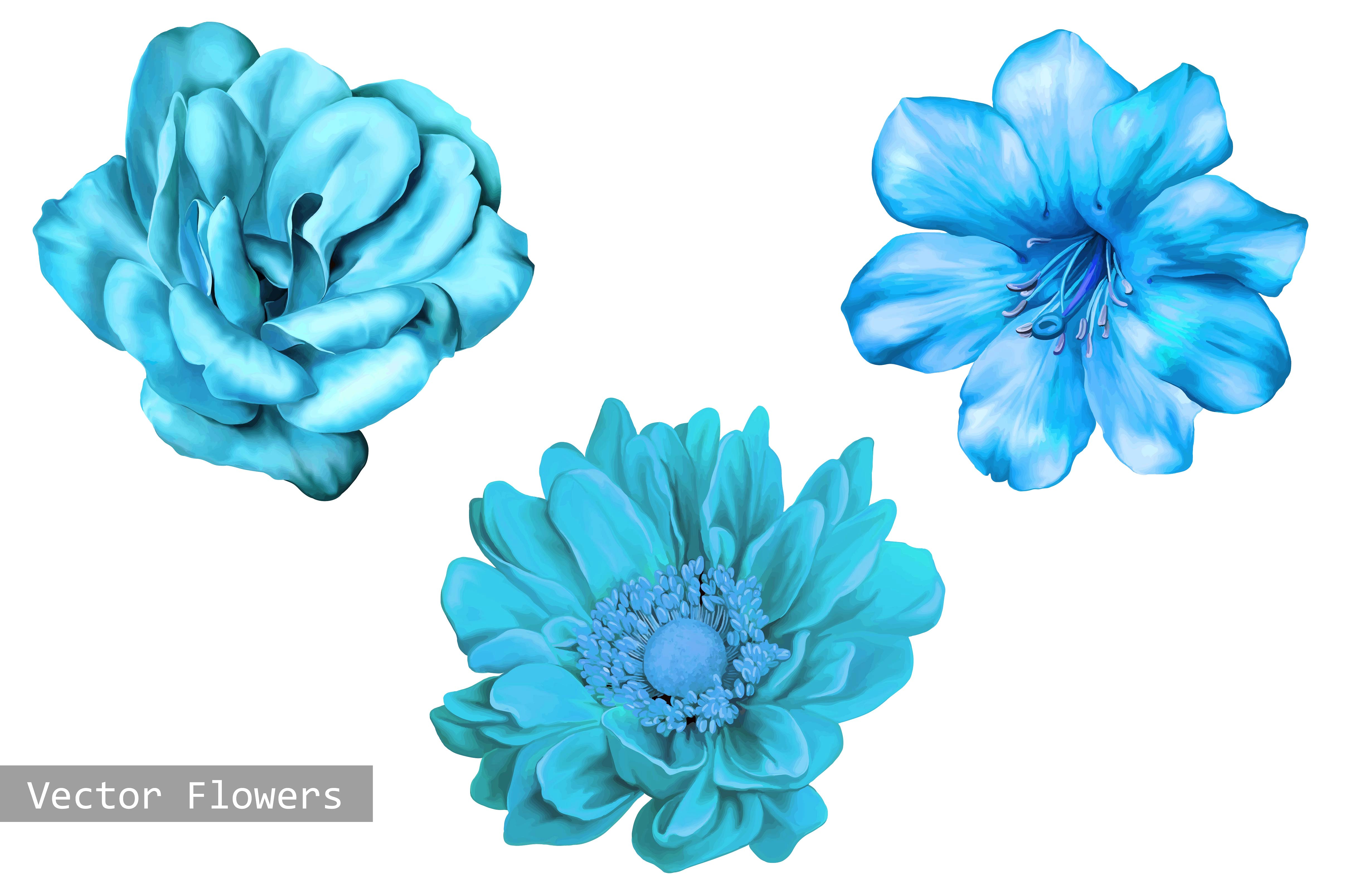 Blue Flowers: Camellia Rose, Dahlia ~ Illustrations ~ Creative Market