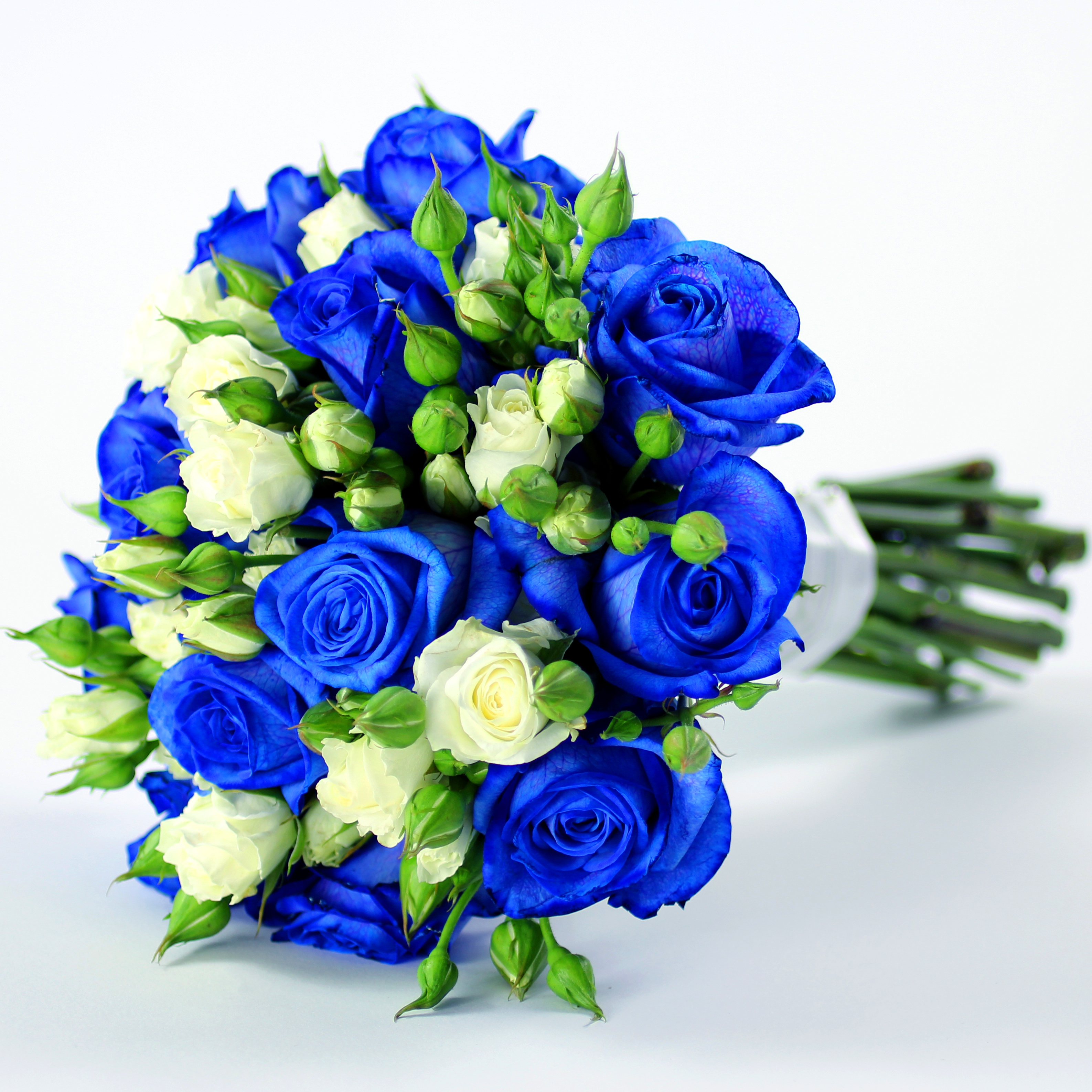 Blue Flowers For Valentines Day – Quotes & Wishes for Valentine's Week