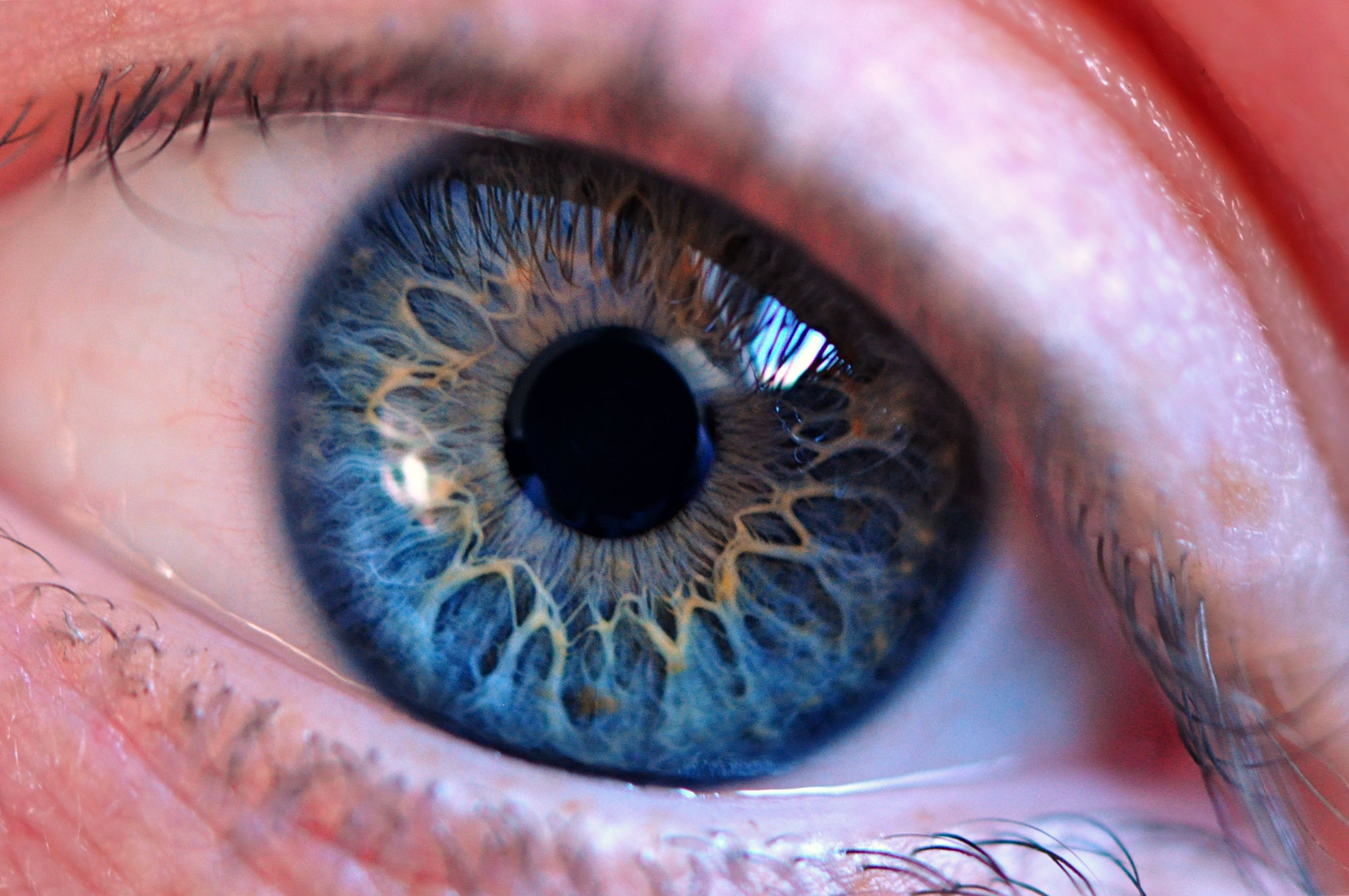 Your eyes can see in ultraviolet when the lens is completely removed