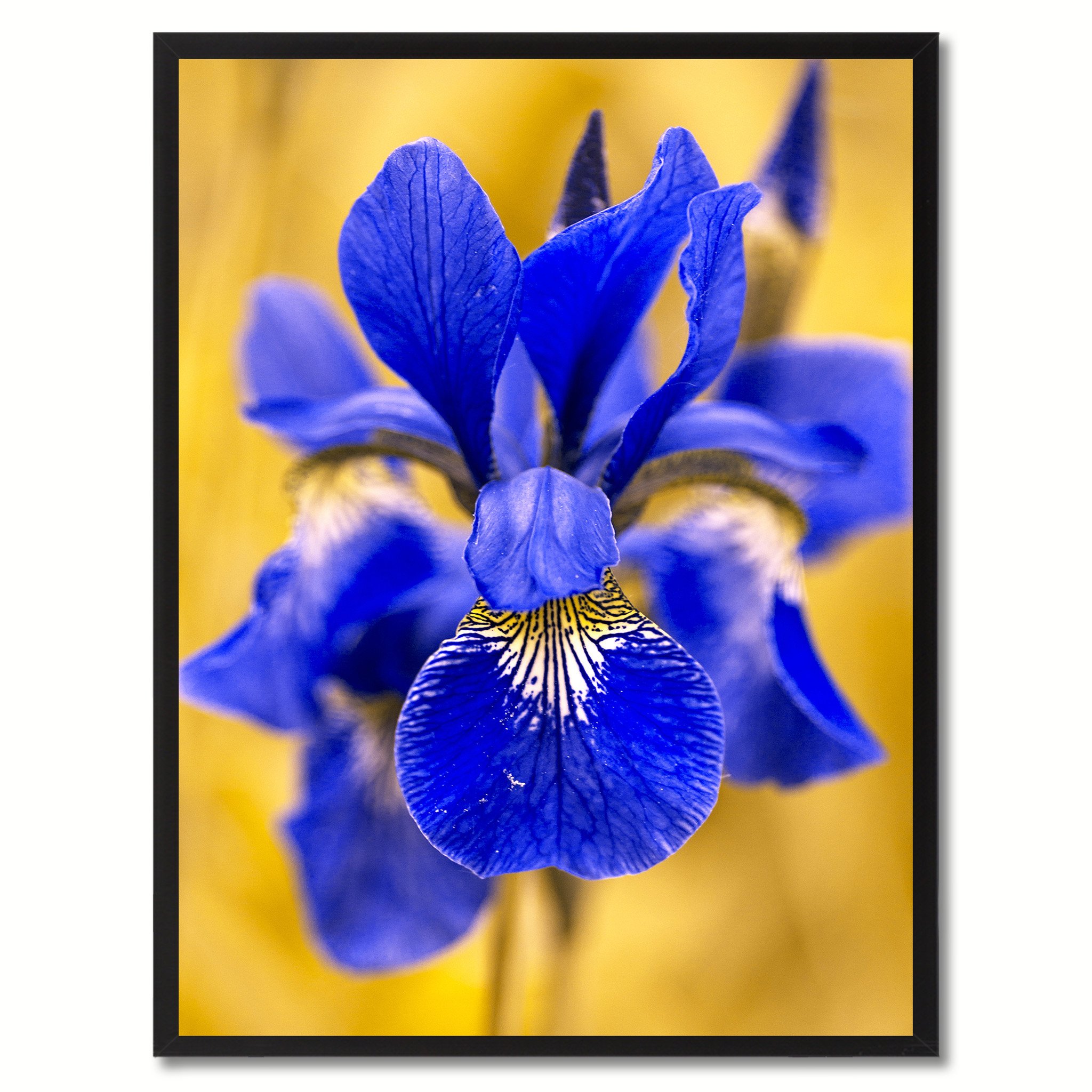 Blue Iris Flower Wall Art Home Décor Frame – SpotColorArt