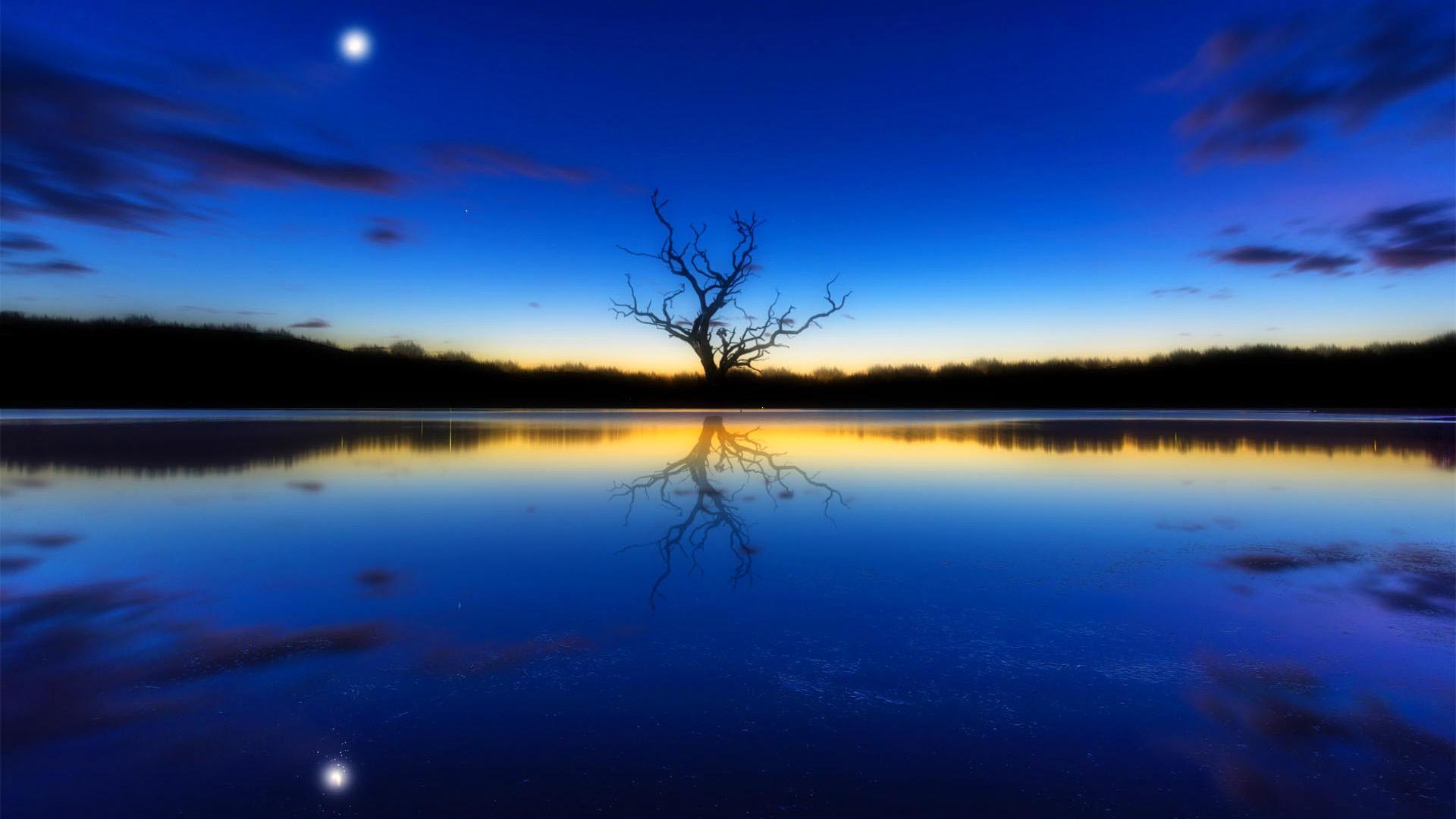Blue landscape, a tree, reflecting, river, sunset, moon, Landscape ...