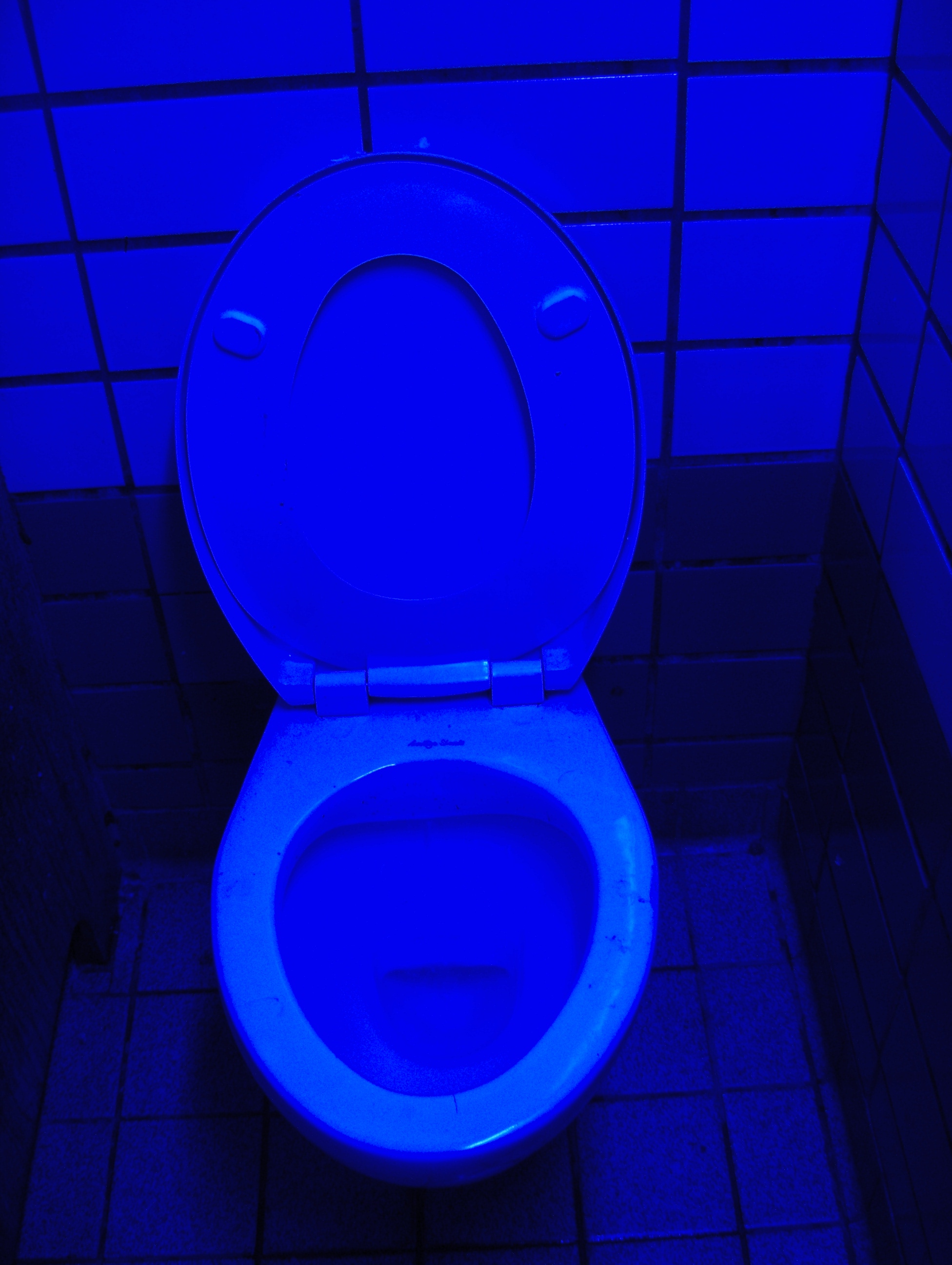 File:Blue-light-toilets.JPG - Wikimedia Commons