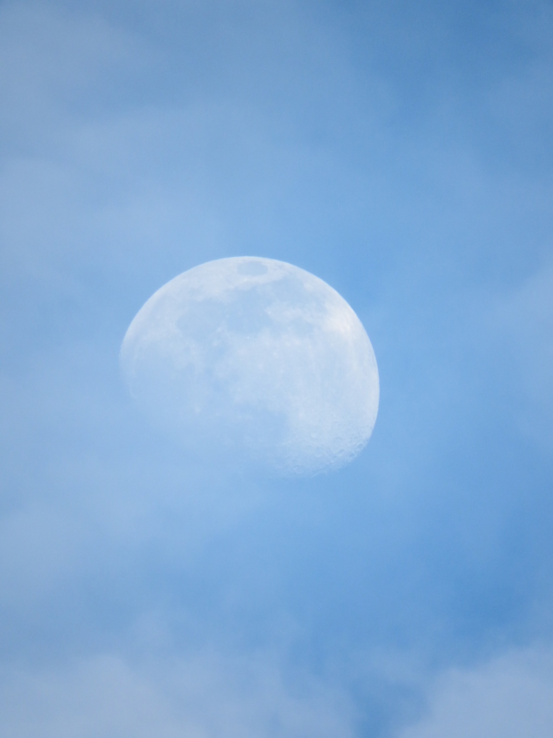 Blue moon photo