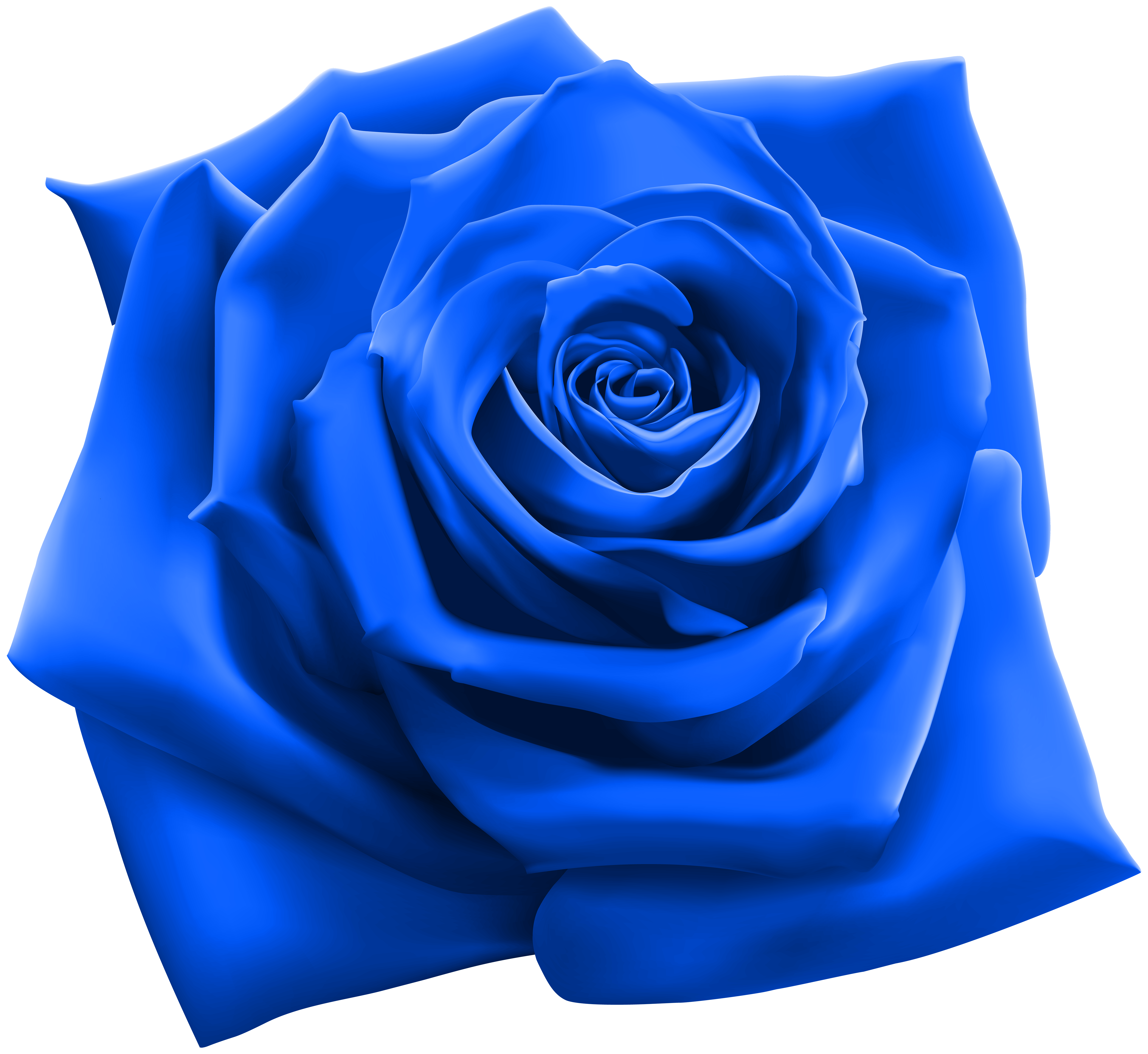 Blue Rose PNG Clipart Image | Gallery Yopriceville - High-Quality ...